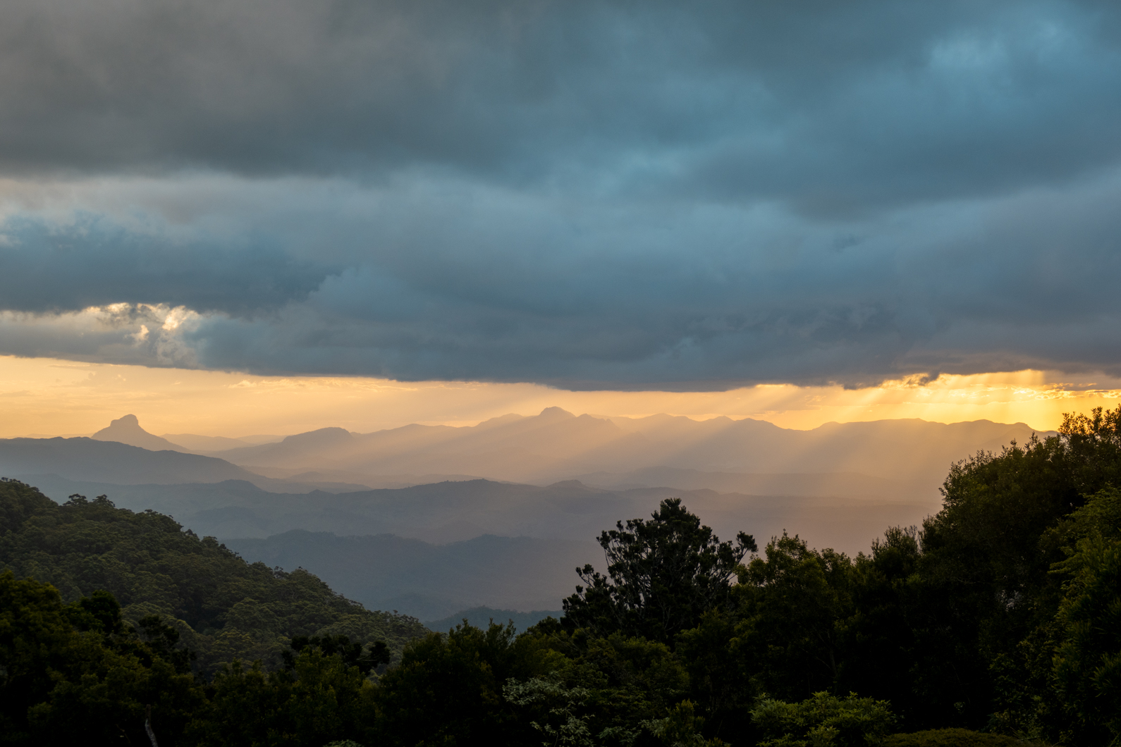 A Complete Guide to Lamington National Park, Queensland