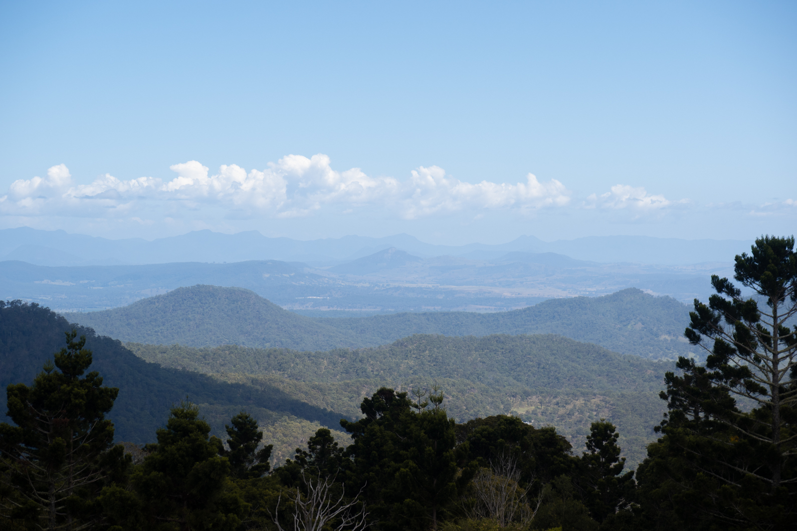 A Complete Guide to Lamington National Park, Queensland