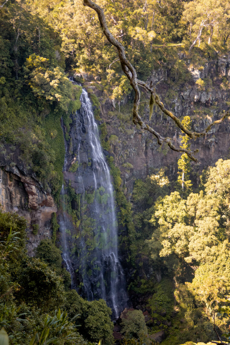 A Complete Guide to Lamington National Park, Queensland