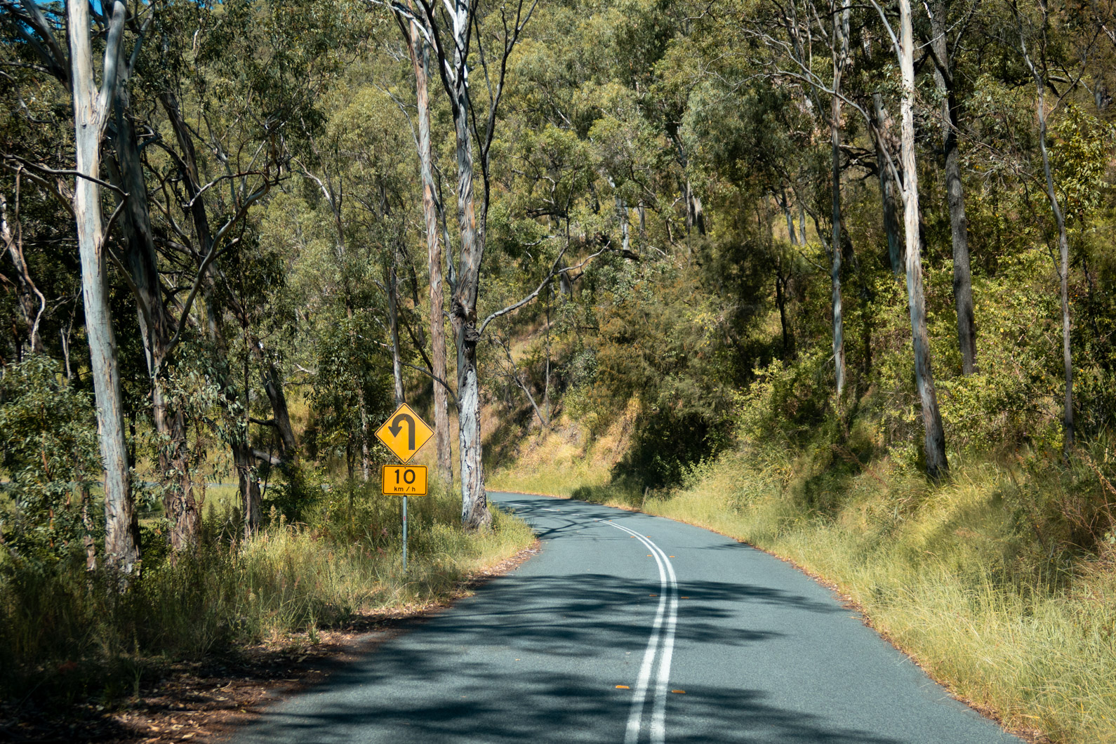 A Complete Guide to Lamington National Park, Queensland