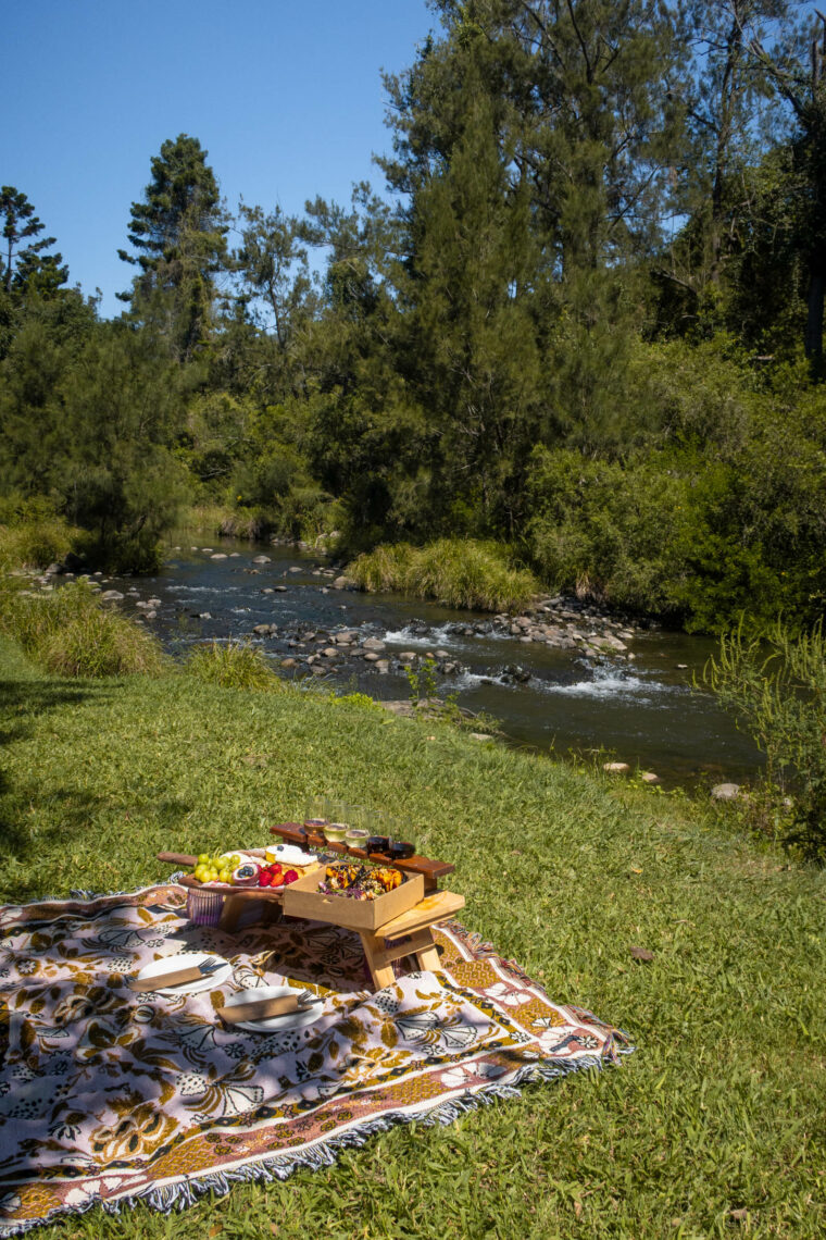 A Complete Guide to Lamington National Park, Queensland
