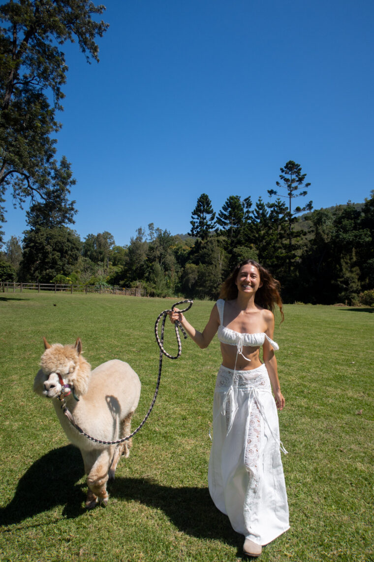 A Complete Guide to Lamington National Park, Queensland