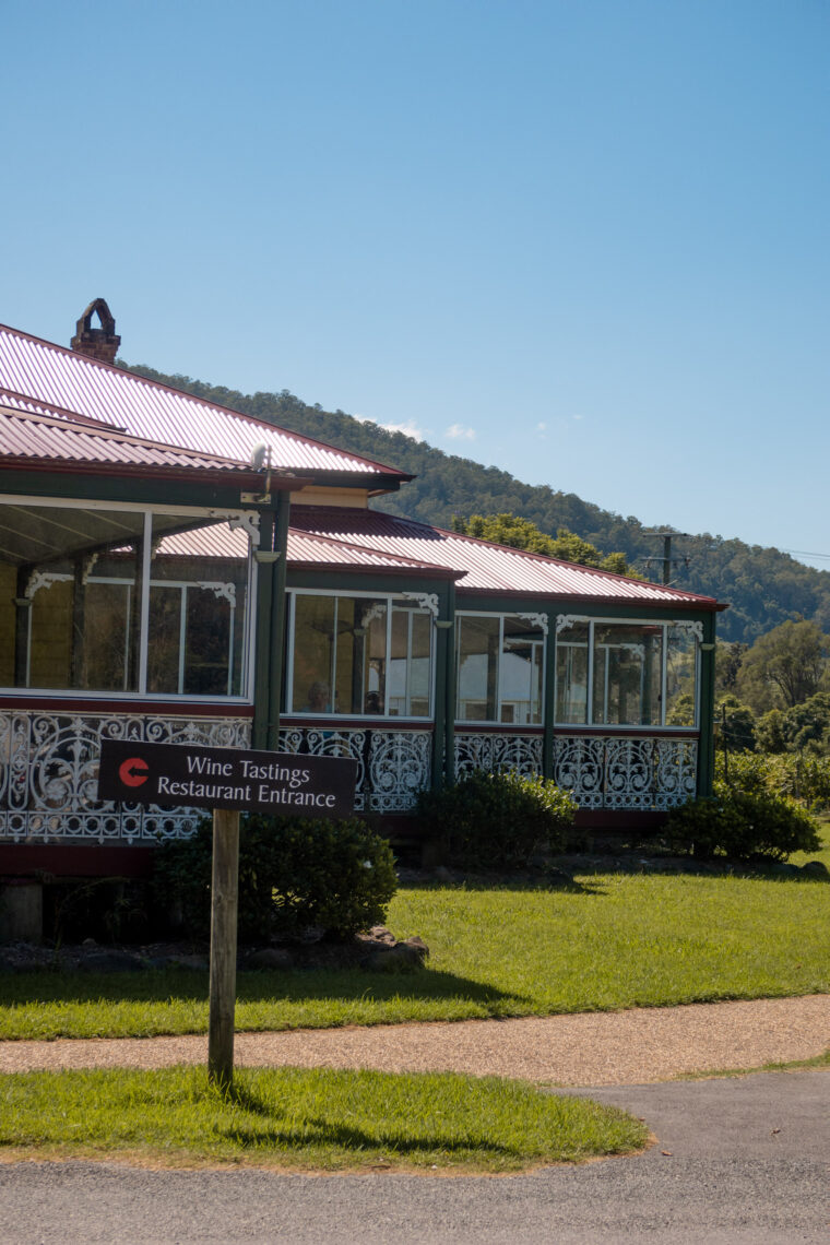 A Complete Guide to Lamington National Park, Queensland