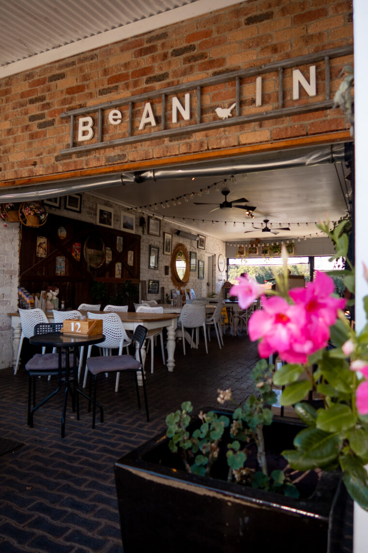 A Complete Guide to Lamington National Park, Queensland