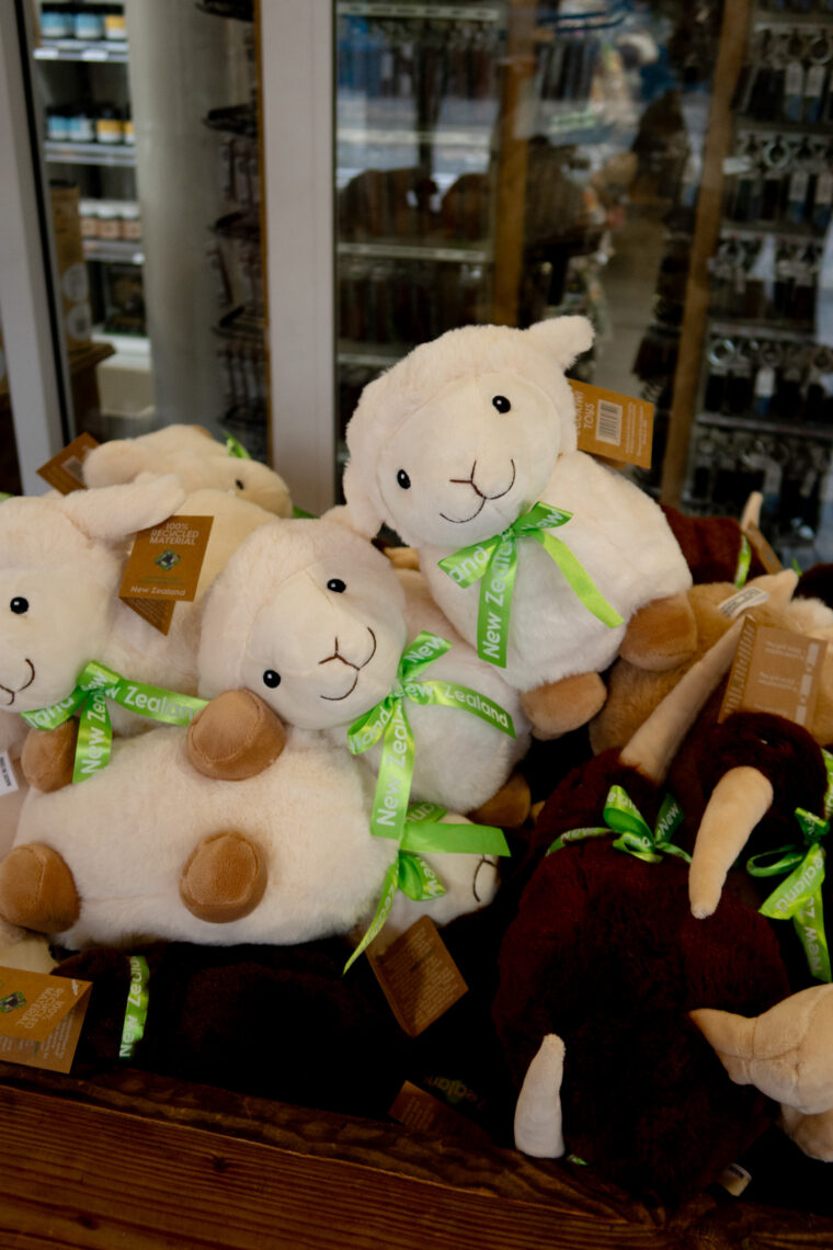 Best Things to Do in Queenstown New Zealand