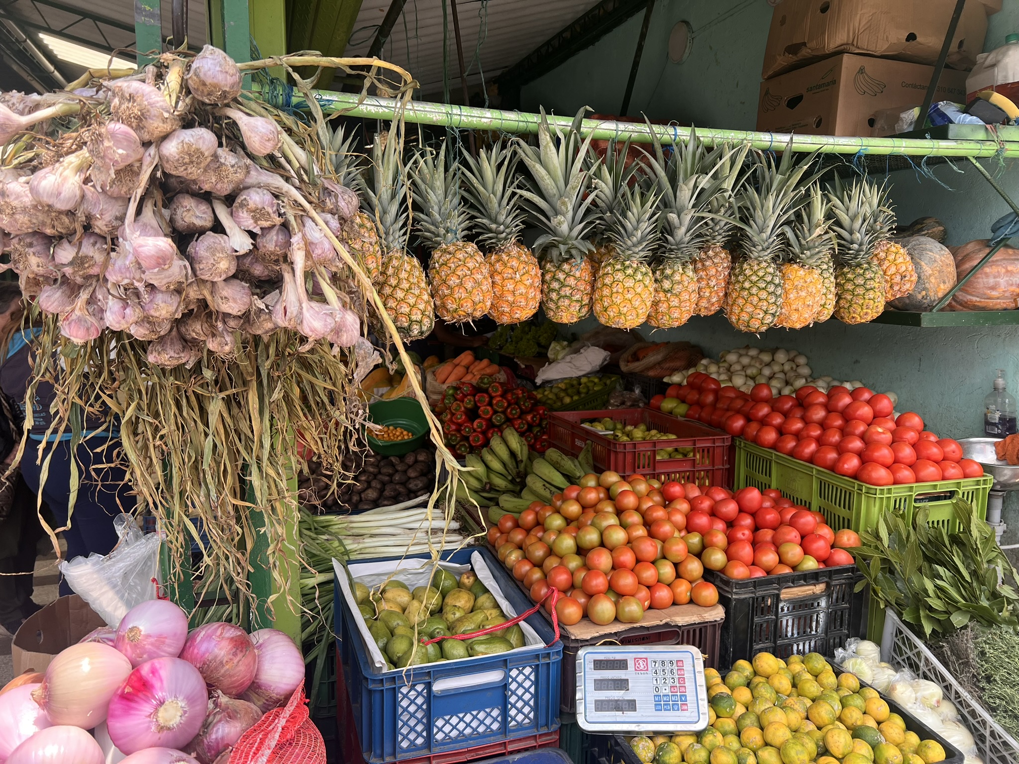 Best things to do in Bogotá, Colombia