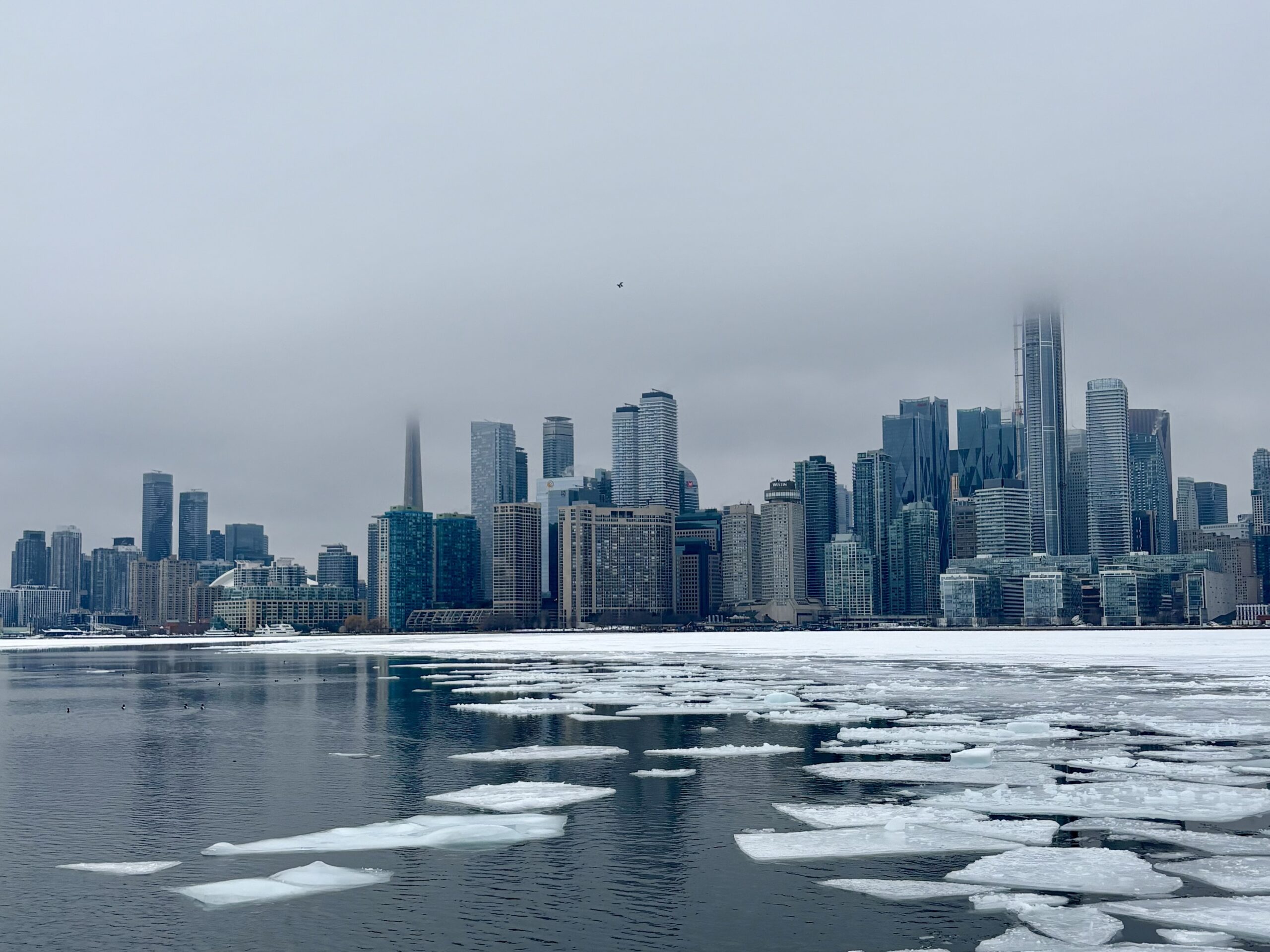 Best Things To Do in Toronto