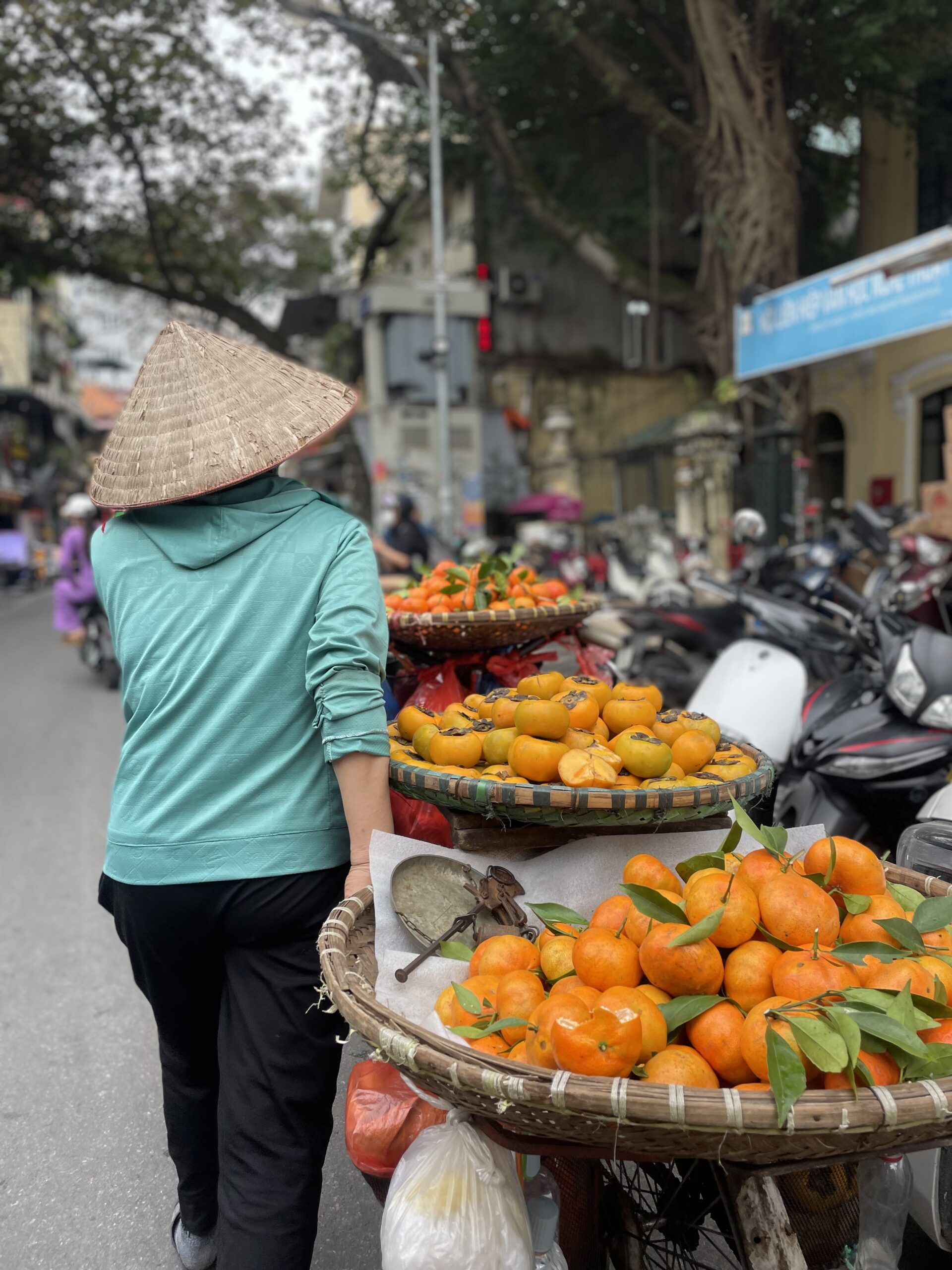 Best Places to Travel in Asia