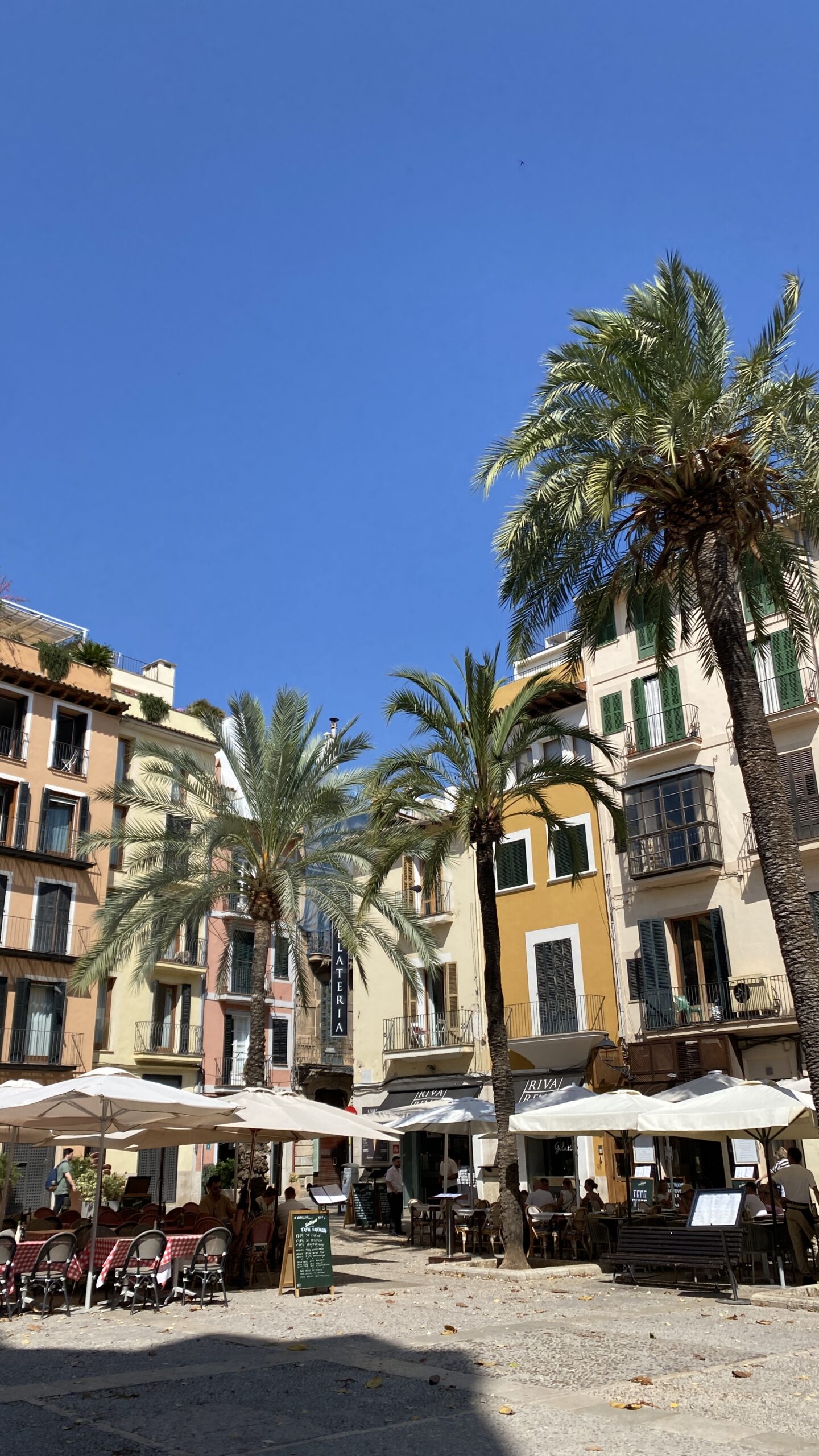 The Best Things To Do in Mallorca, Spain