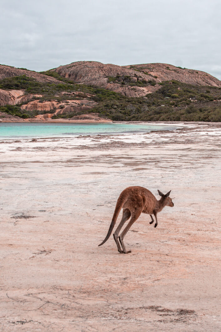 The best things to do in Western Australia
