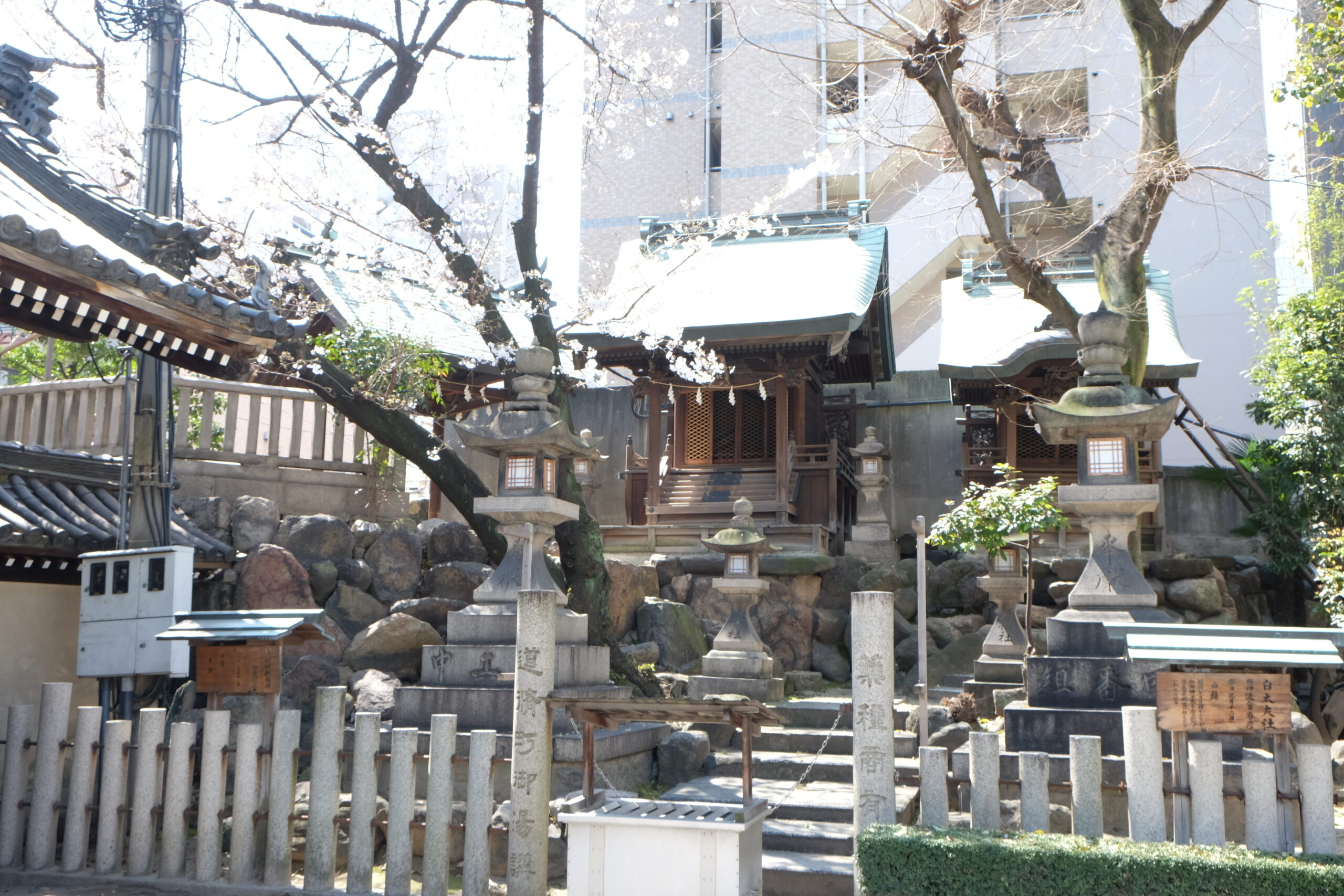 A 2-week Japan Itinerary