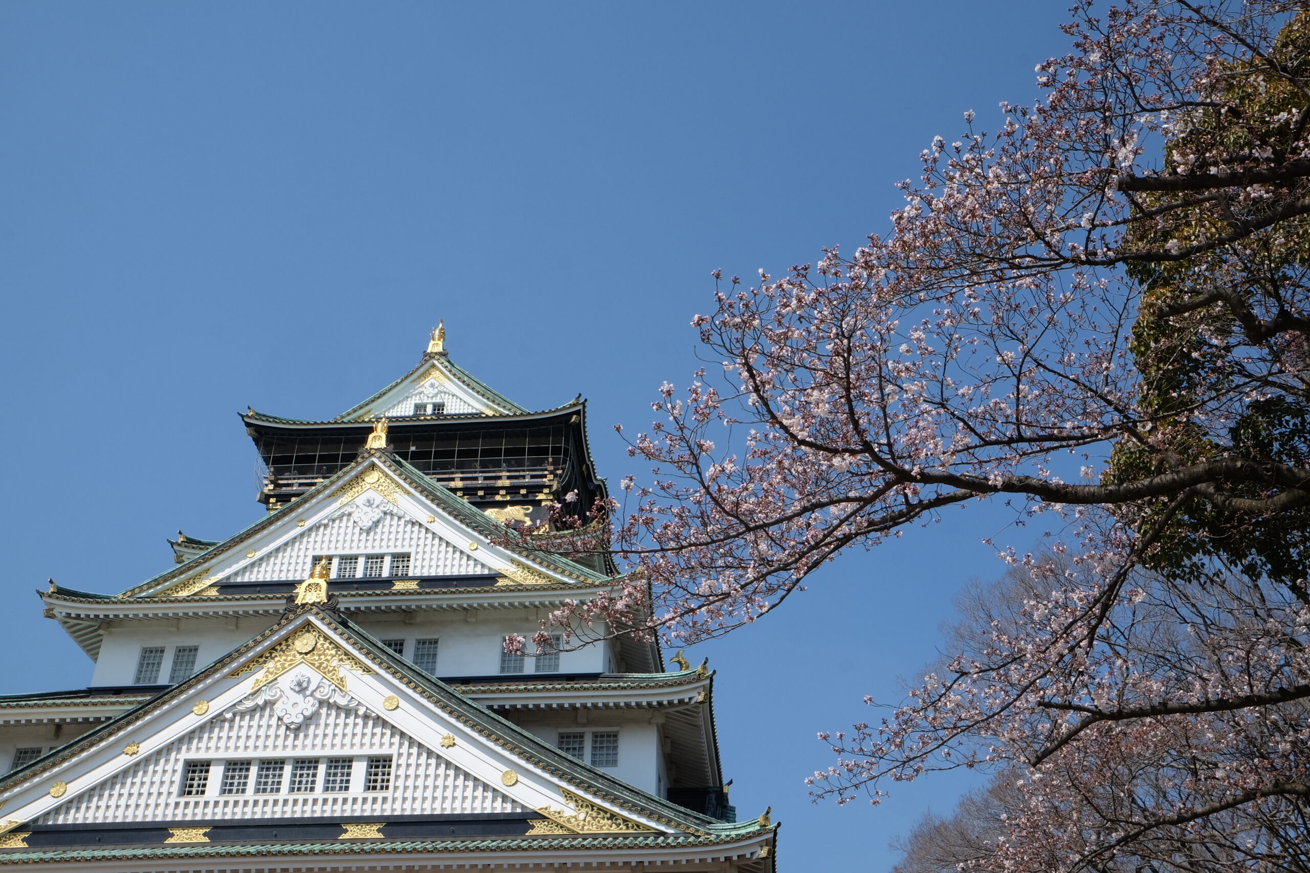 Best things to do in Osaka, Japan