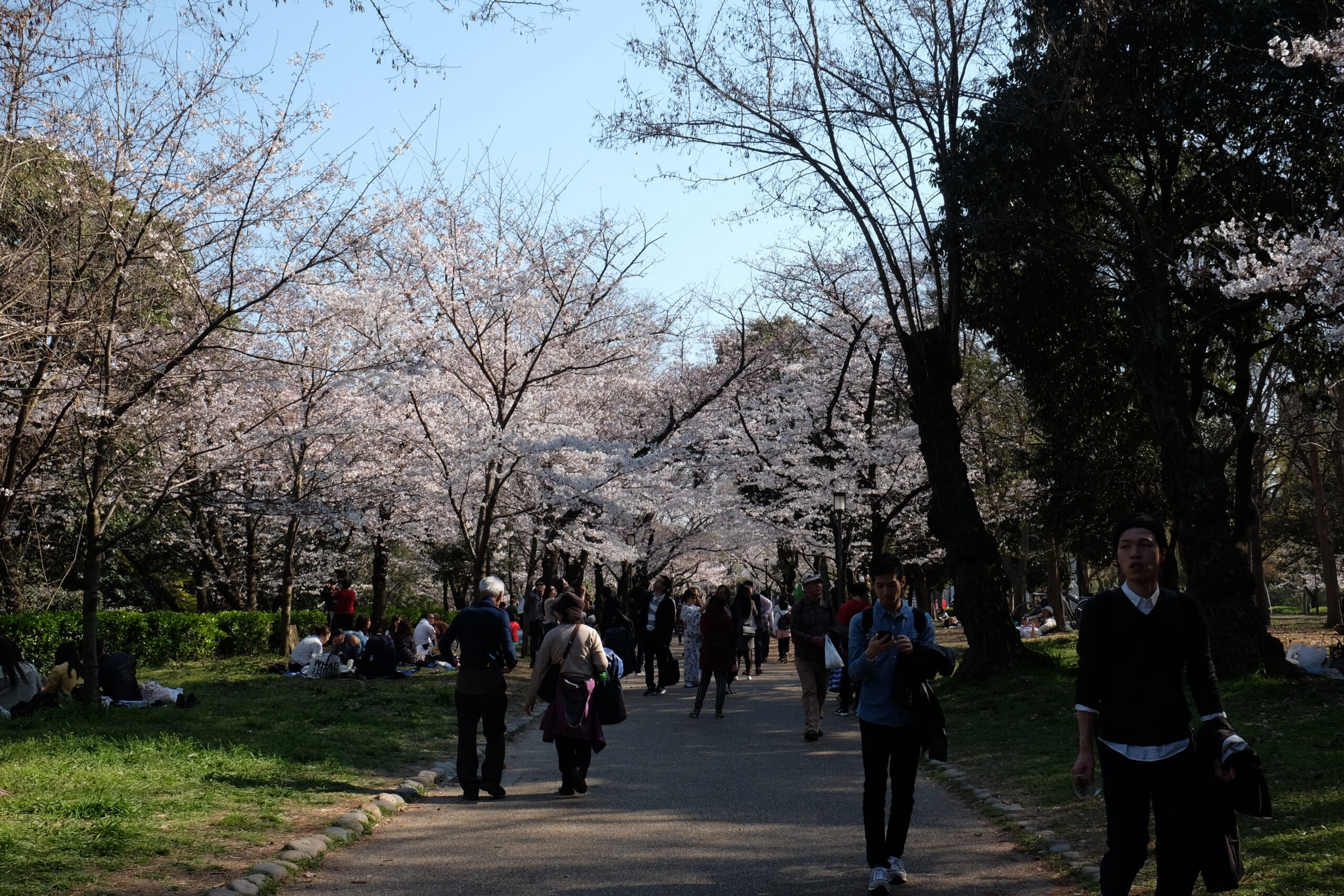 Best things to do in Osaka, Japan