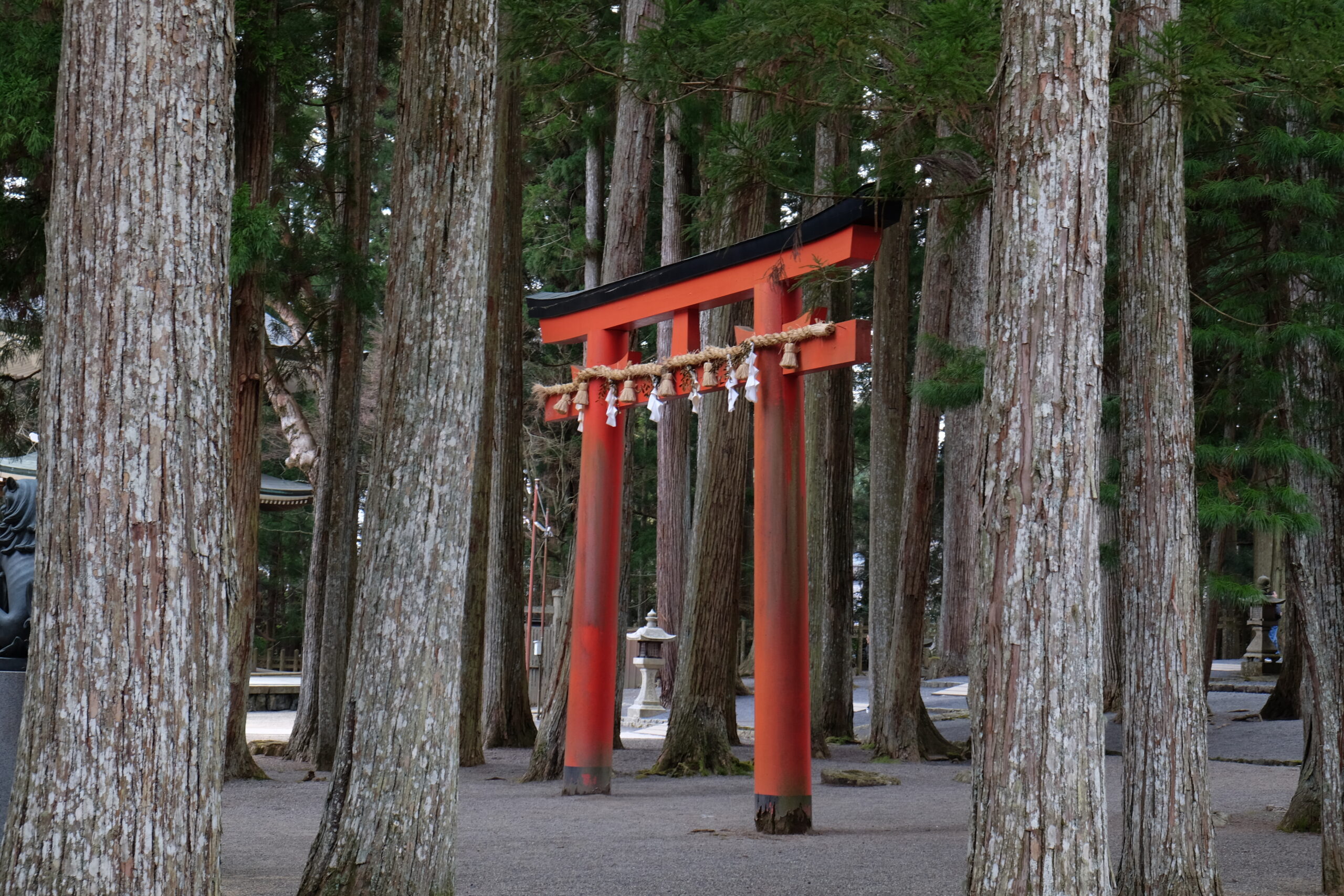 Best things to do in Osaka, Japan