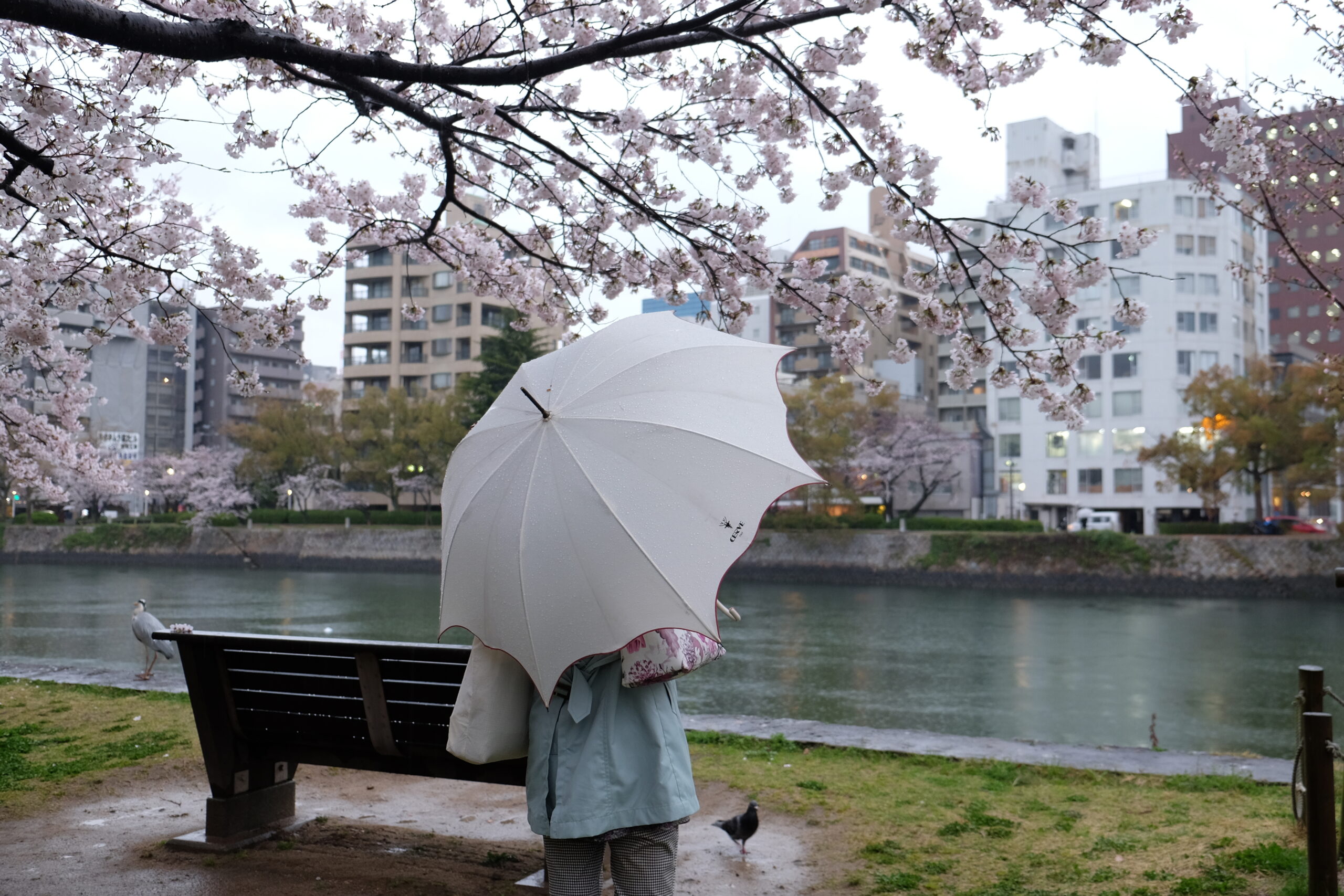 A 2-week Japan Itinerary