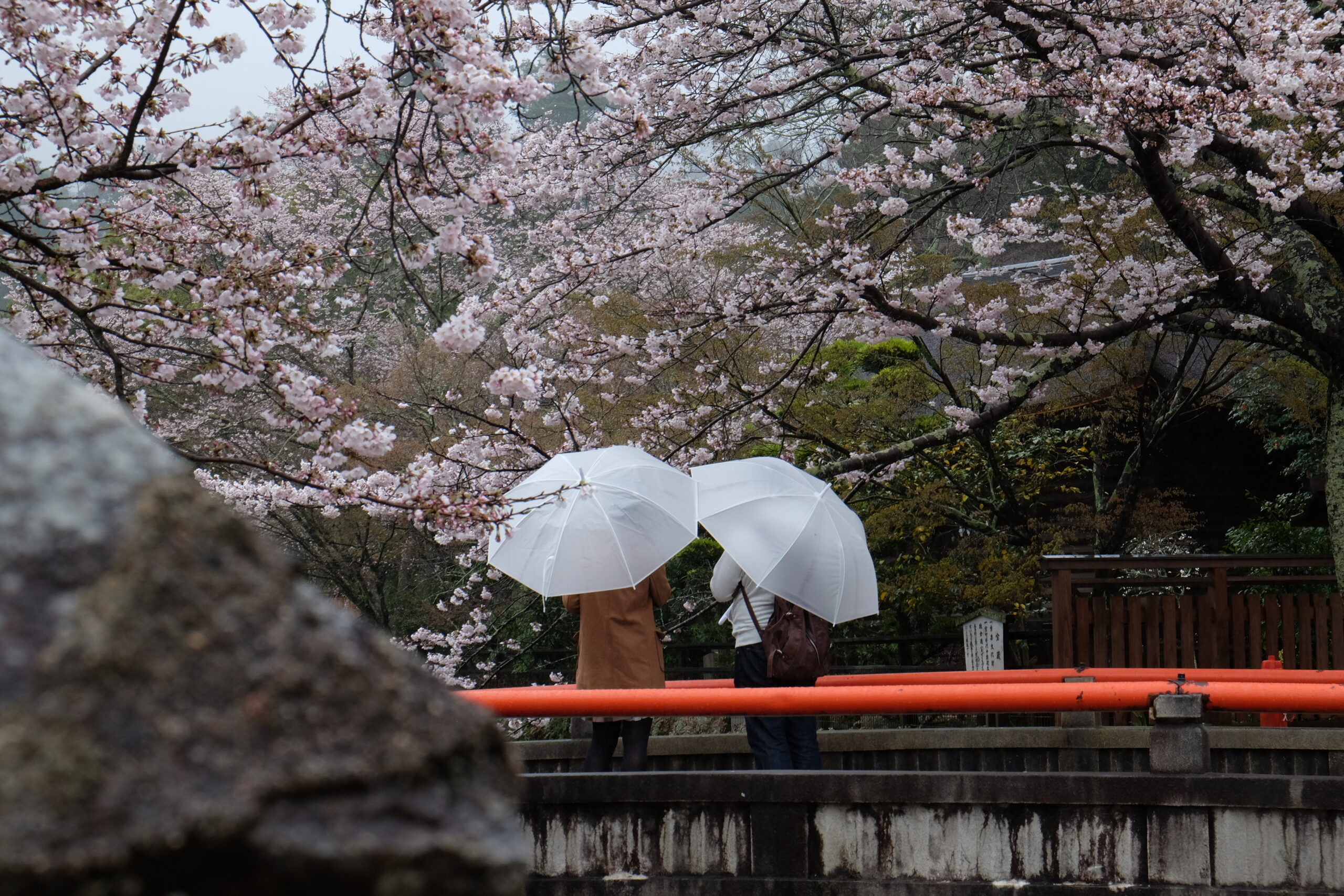 A 2-week Japan Itinerary