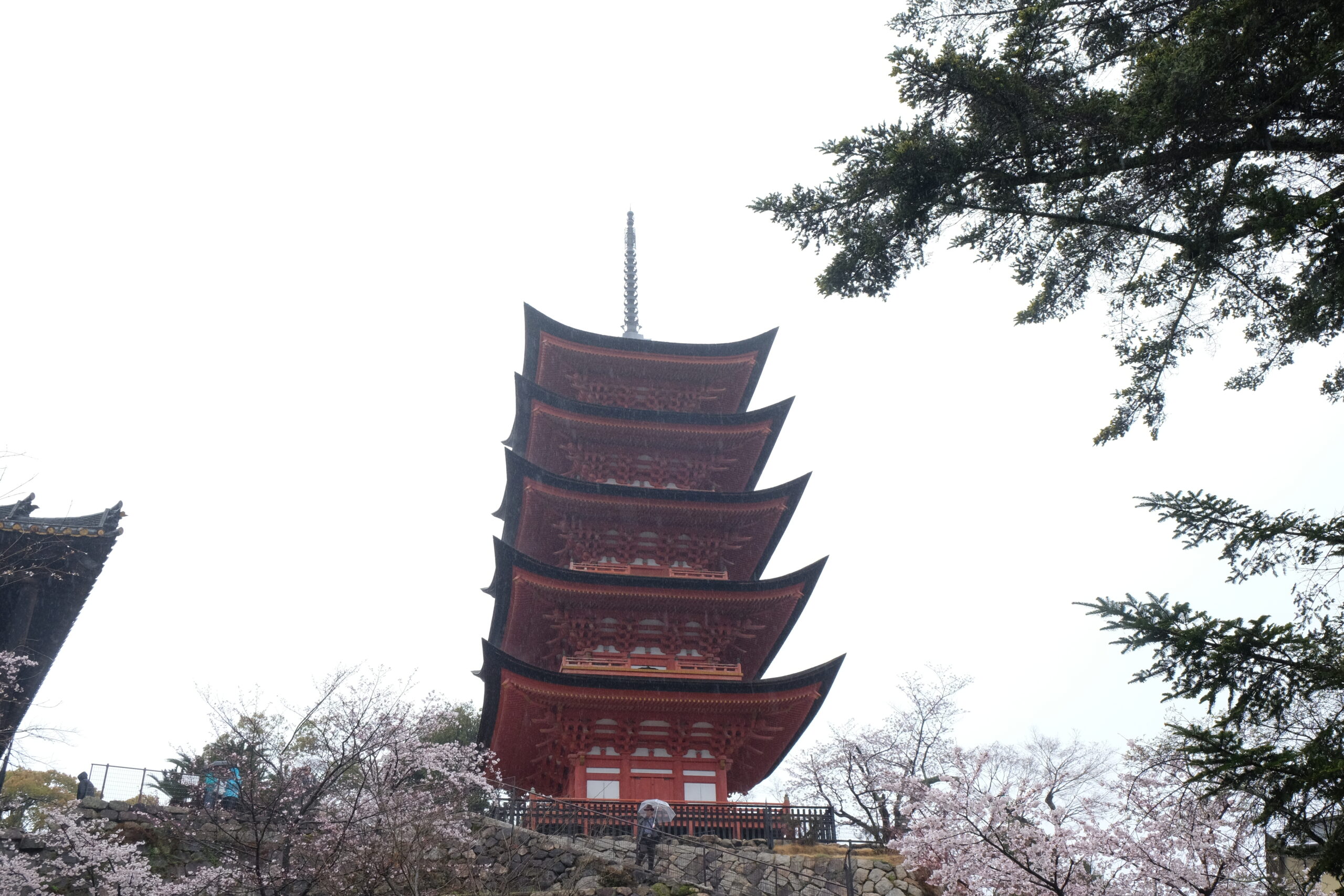 A 2-week Japan Itinerary
