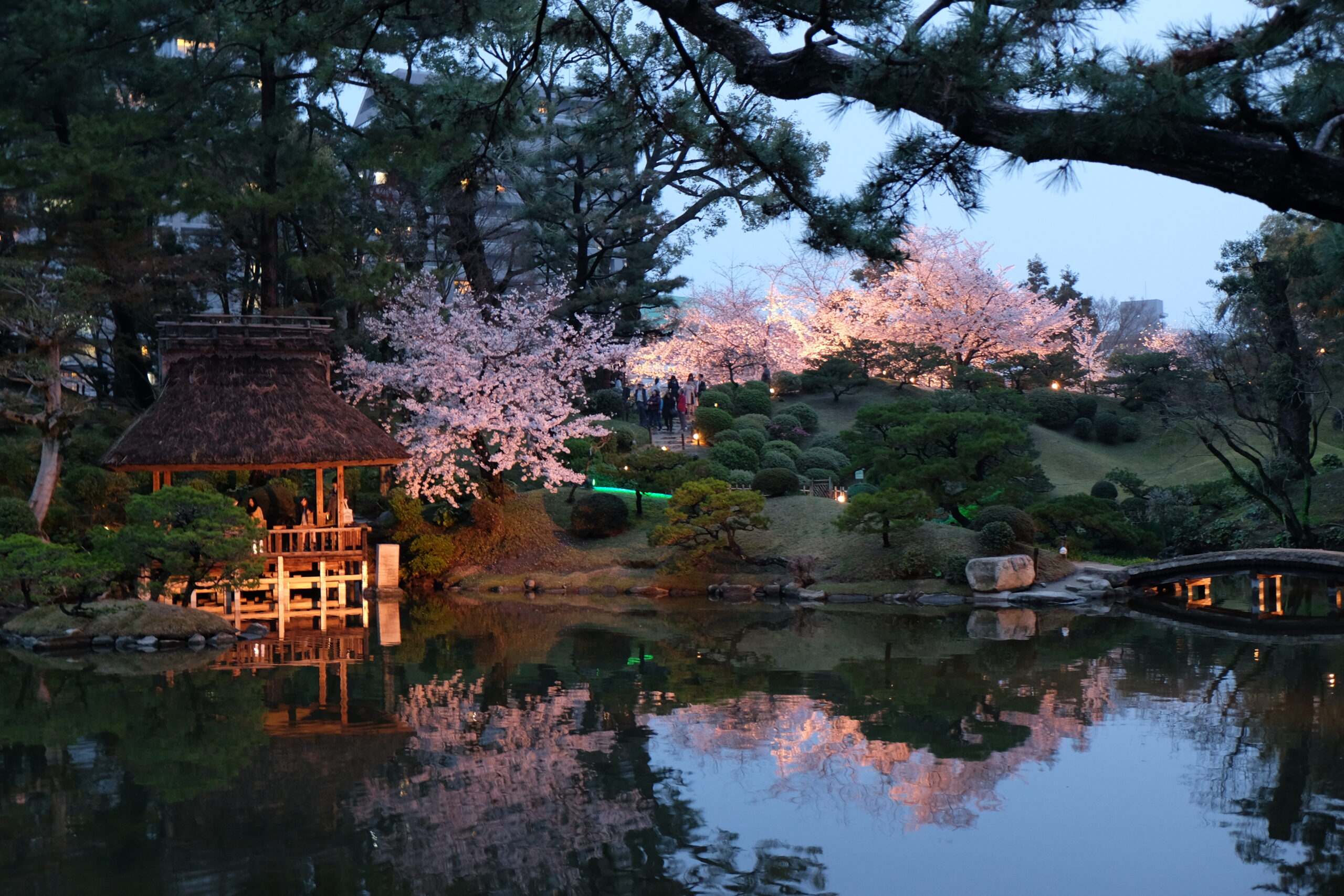A 2-week Japan Itinerary