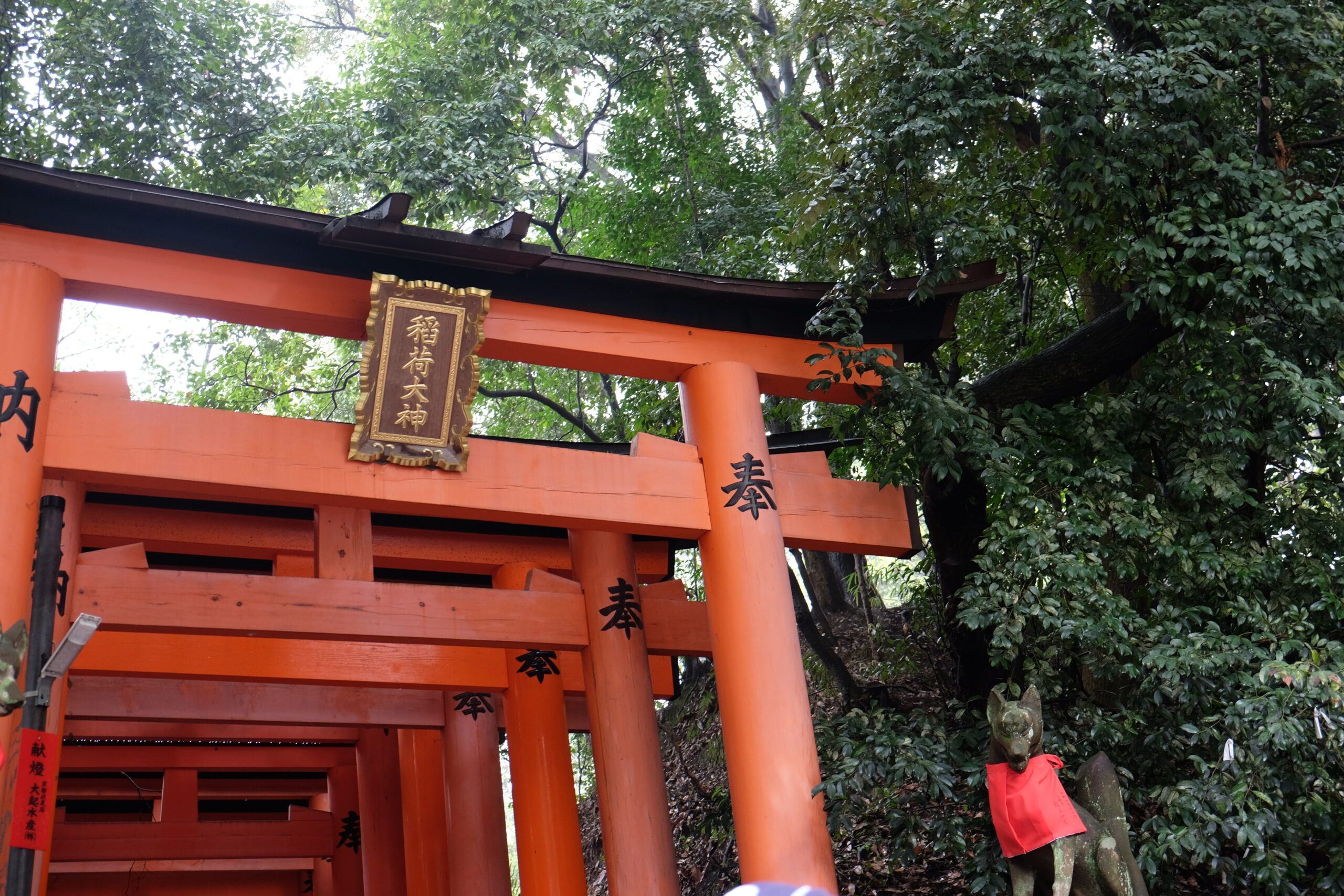 A 2-week Japan Itinerary