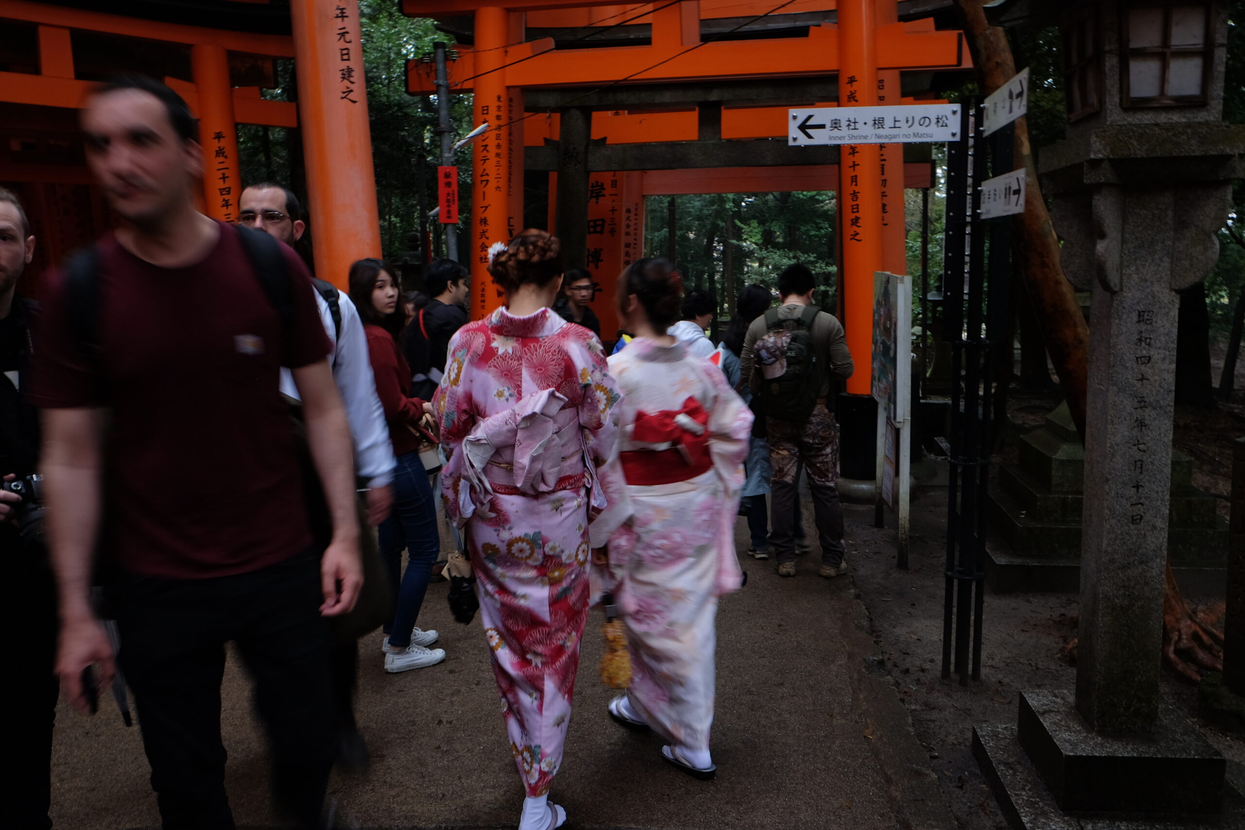 A 2-week Japan Itinerary