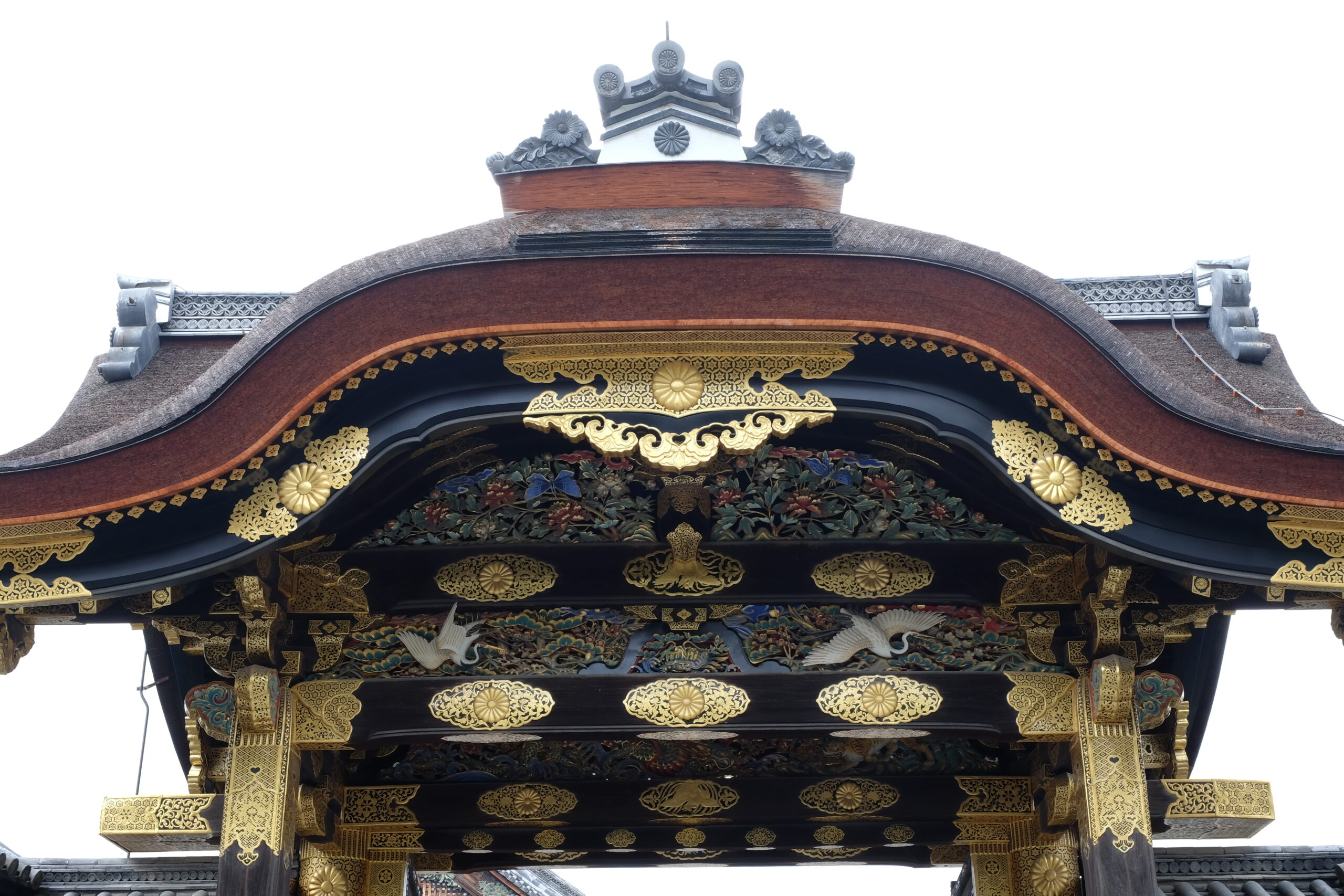 A 2-week Japan Itinerary