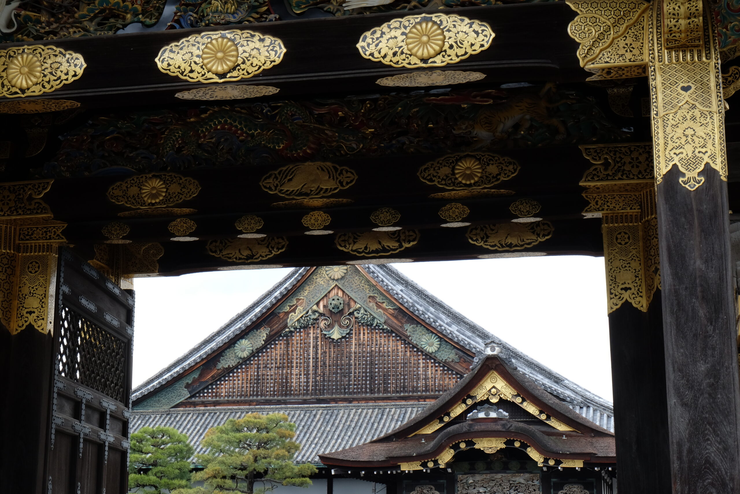 A 2-week Japan Itinerary