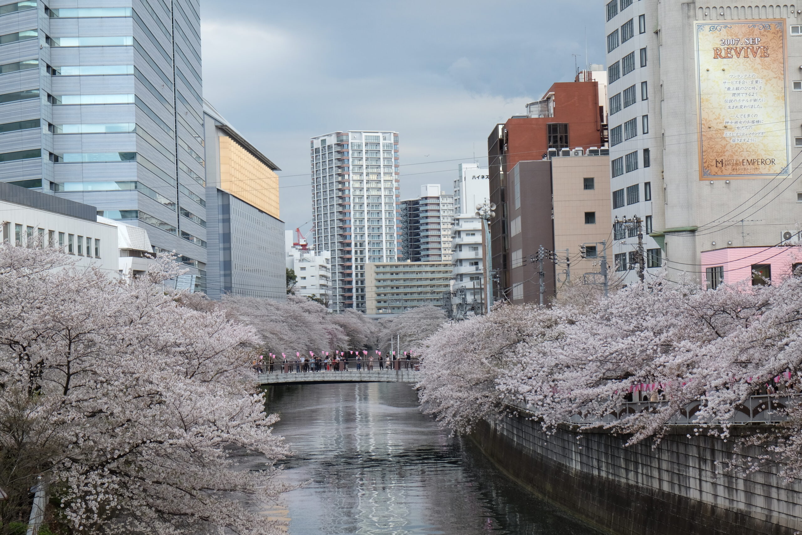 A 2-week Japan Itinerary