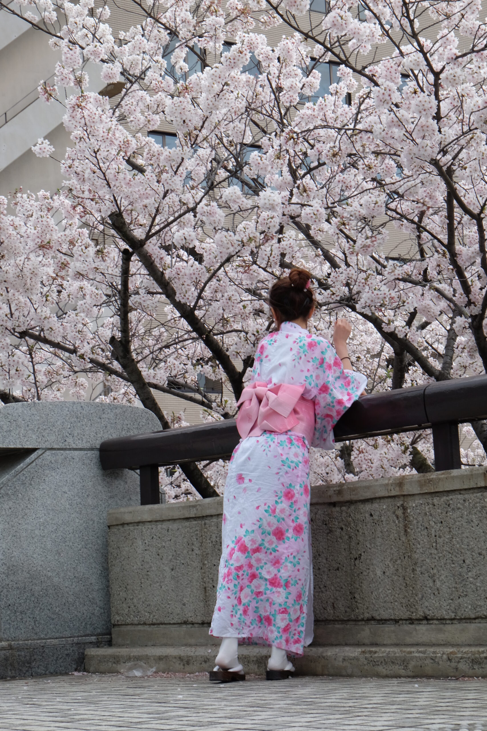A 2-week Japan Itinerary
