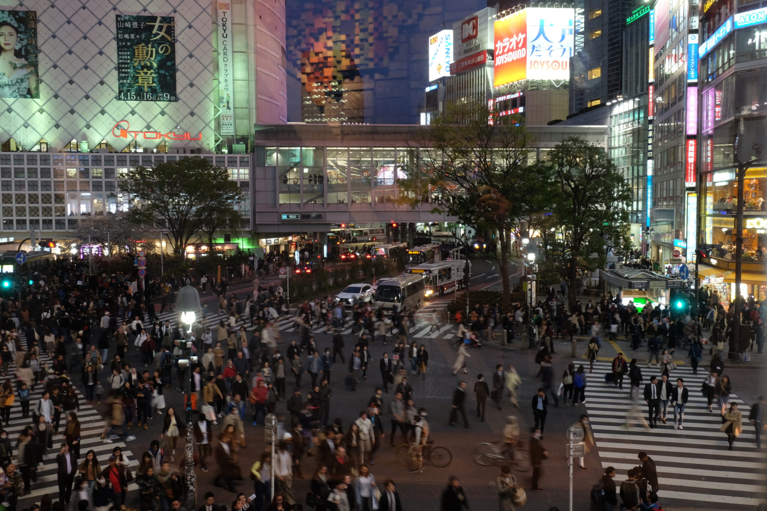 A 2-week Japan Itinerary
