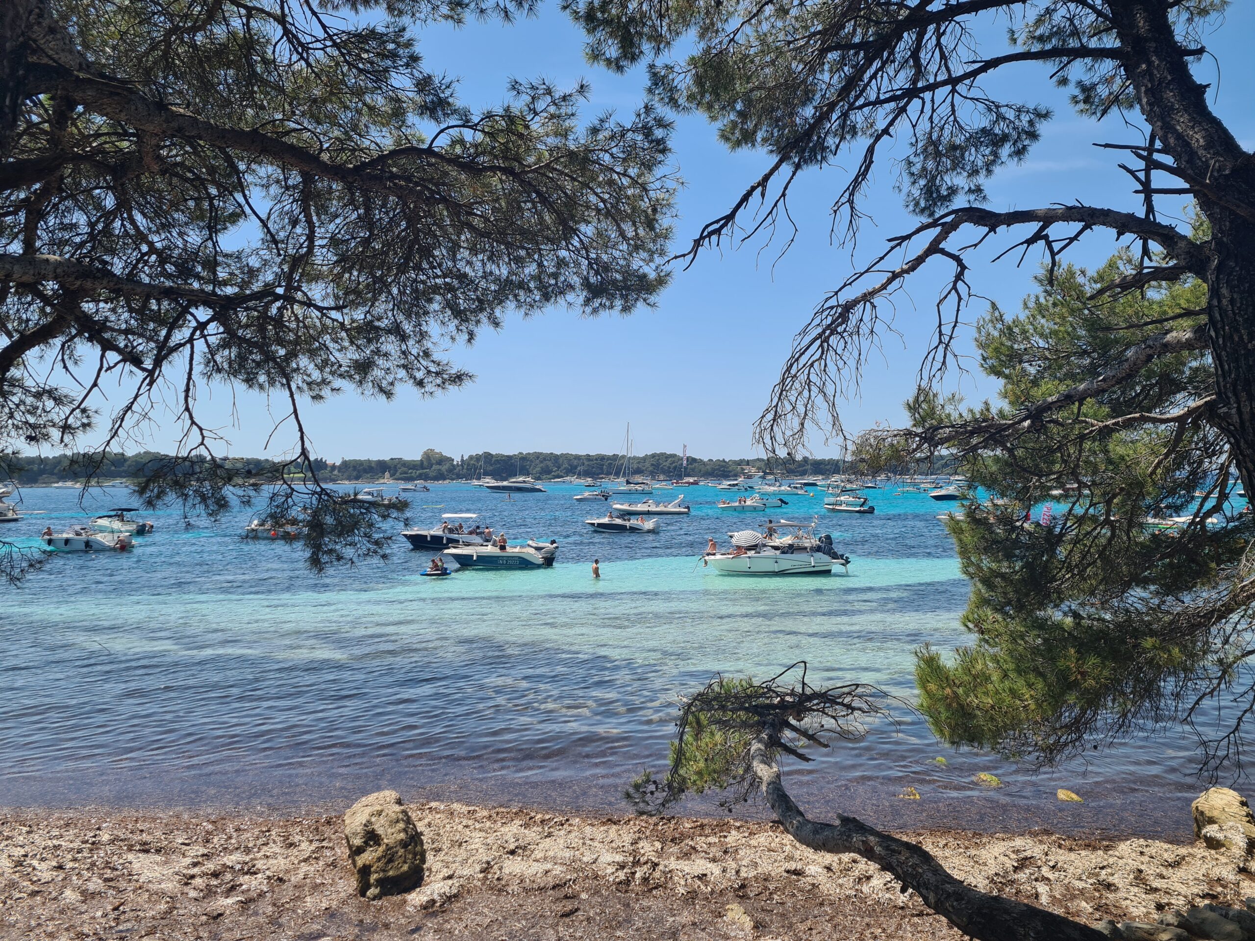 The Best Things To Do in Antibes, France