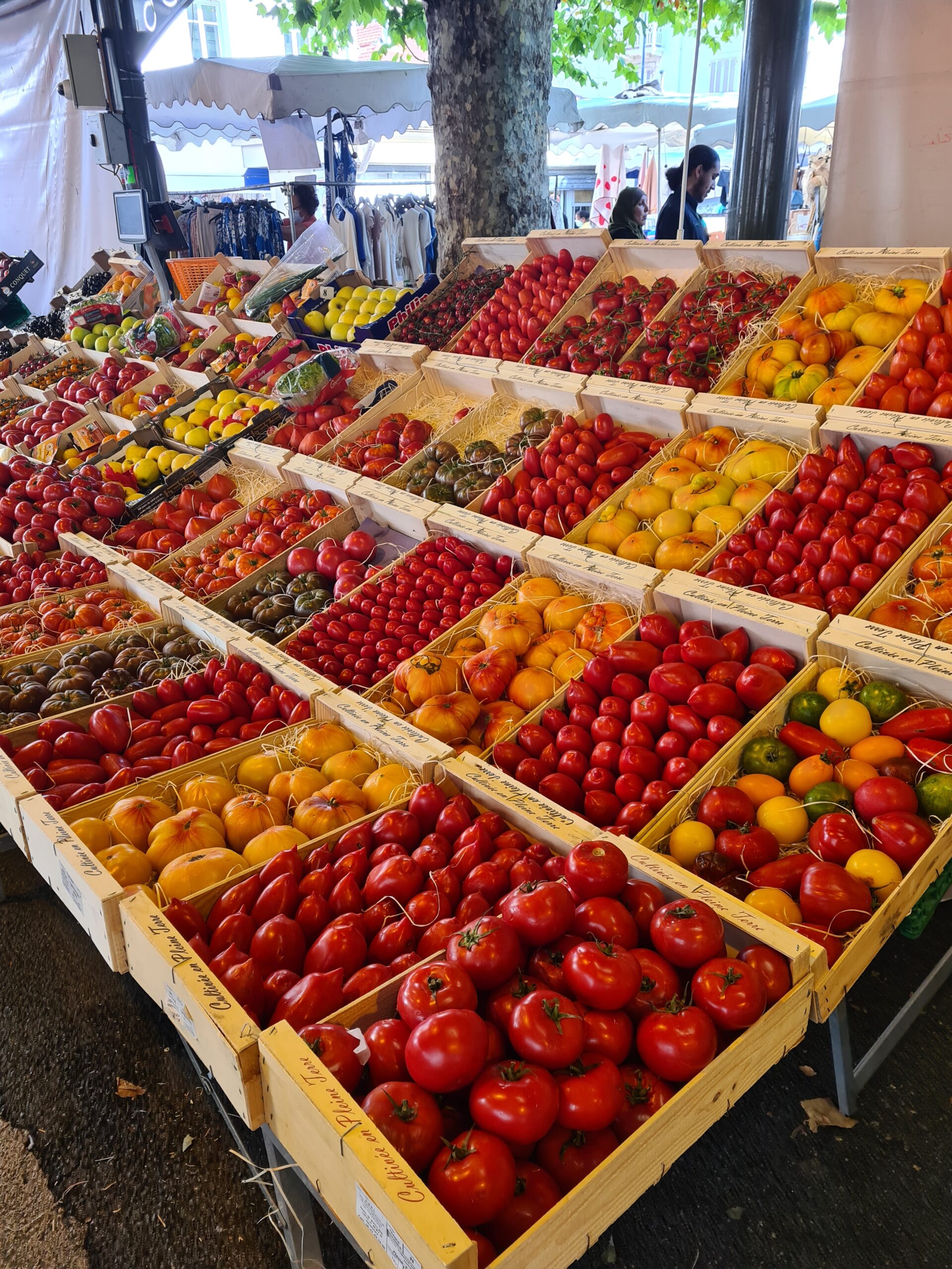 The Best Things To Do in Antibes, France