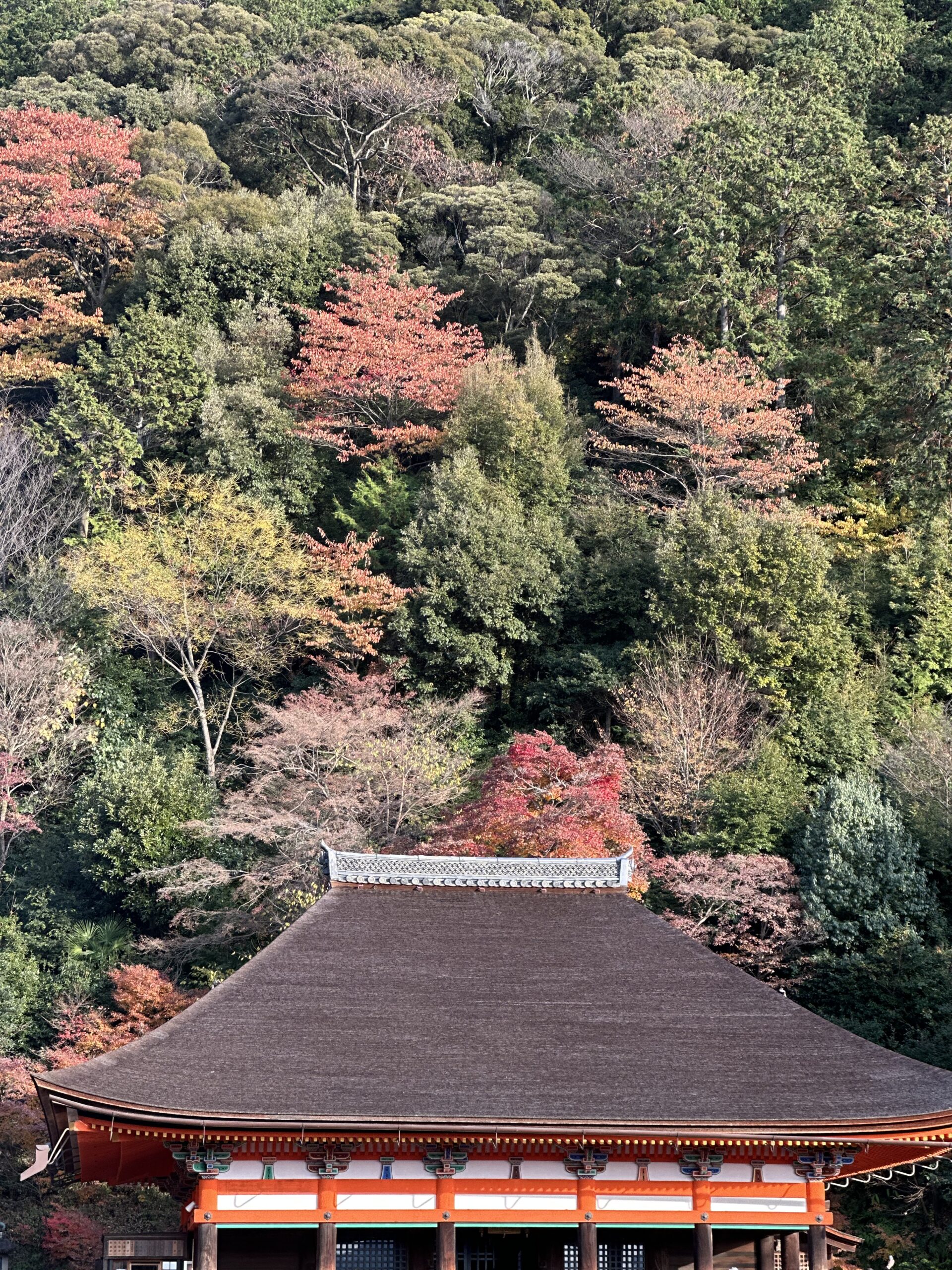 Best Places to Travel in November