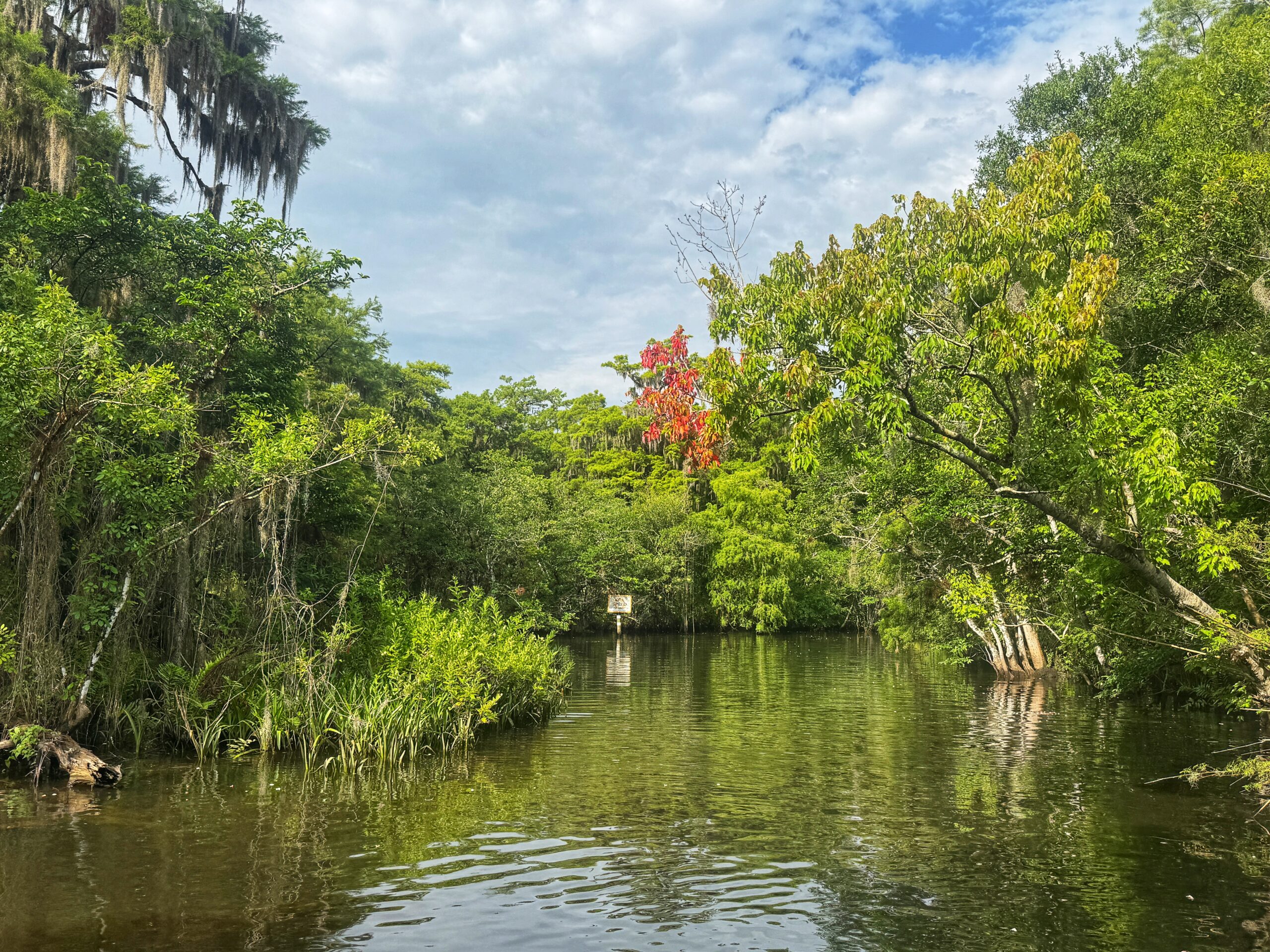The Ultimate 7-Day Florida Road Trip: Orlando to Miami (Without the Theme Parks)