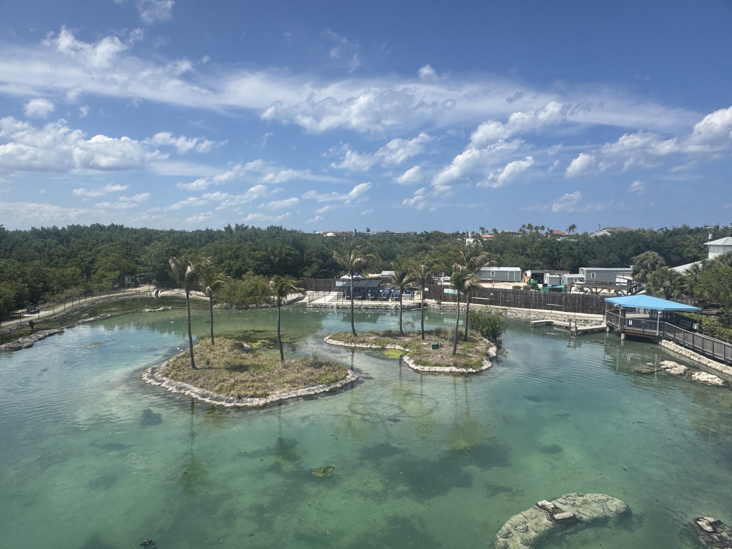 The Ultimate 7-Day Florida Road Trip: Orlando to Miami (Without the Theme Parks)