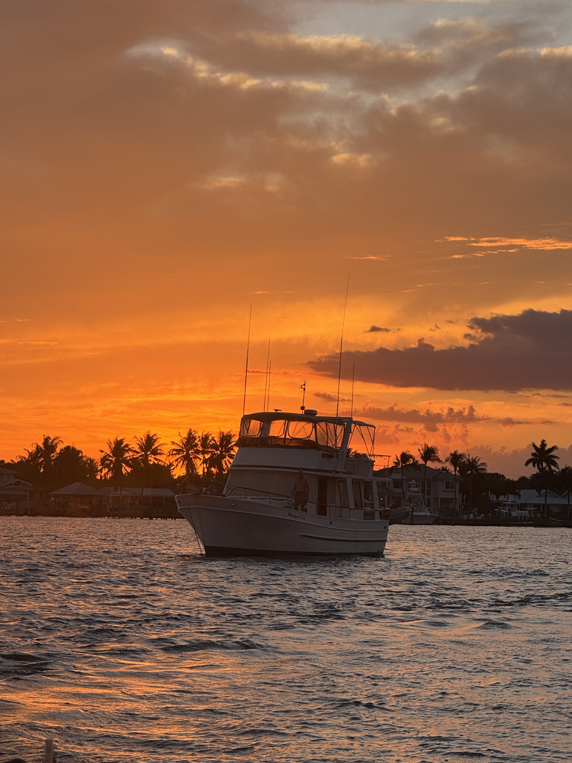 Best Things To Do In Florida