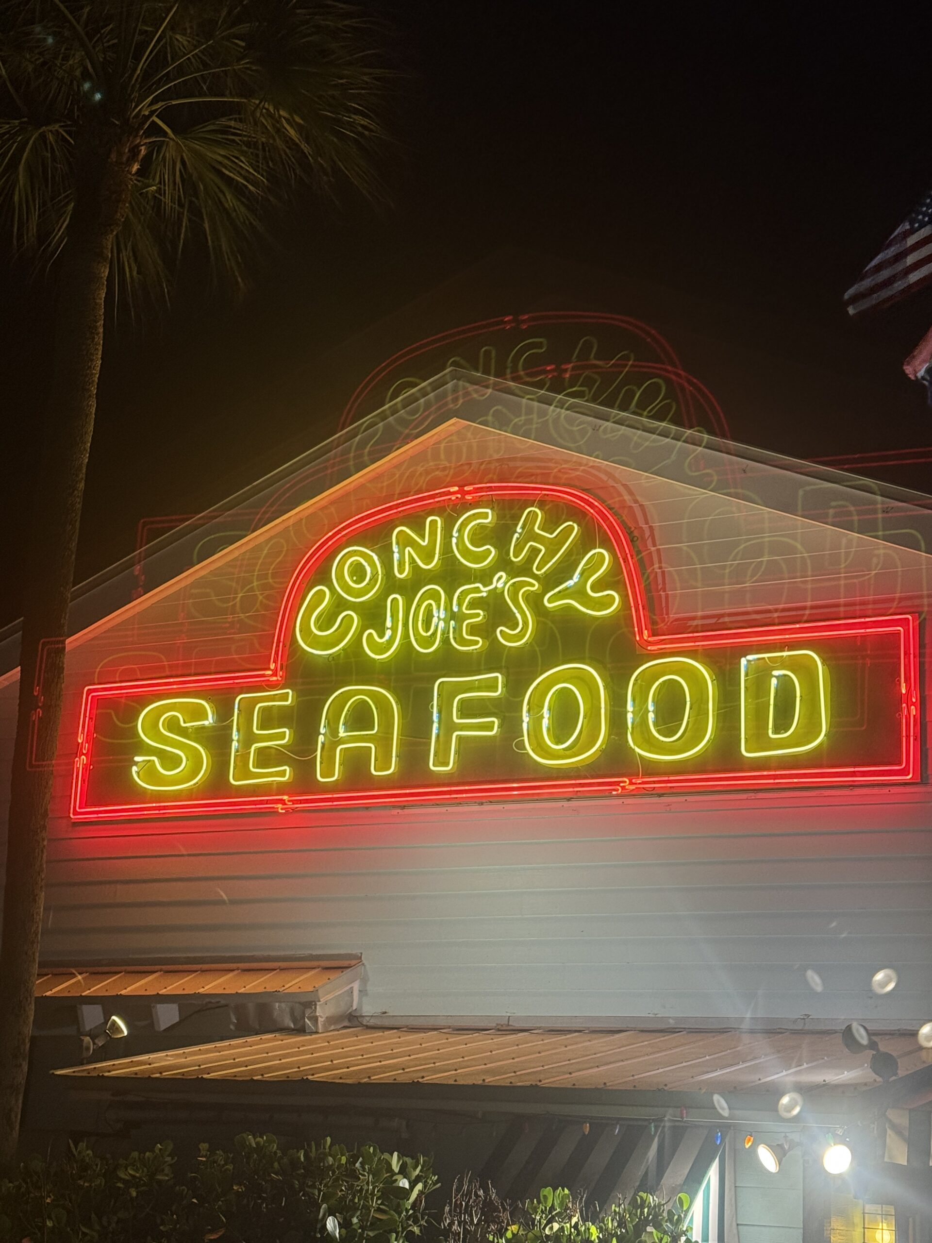 The Ultimate 7-Day Florida Road Trip: Orlando to Miami (Without the Theme Parks)