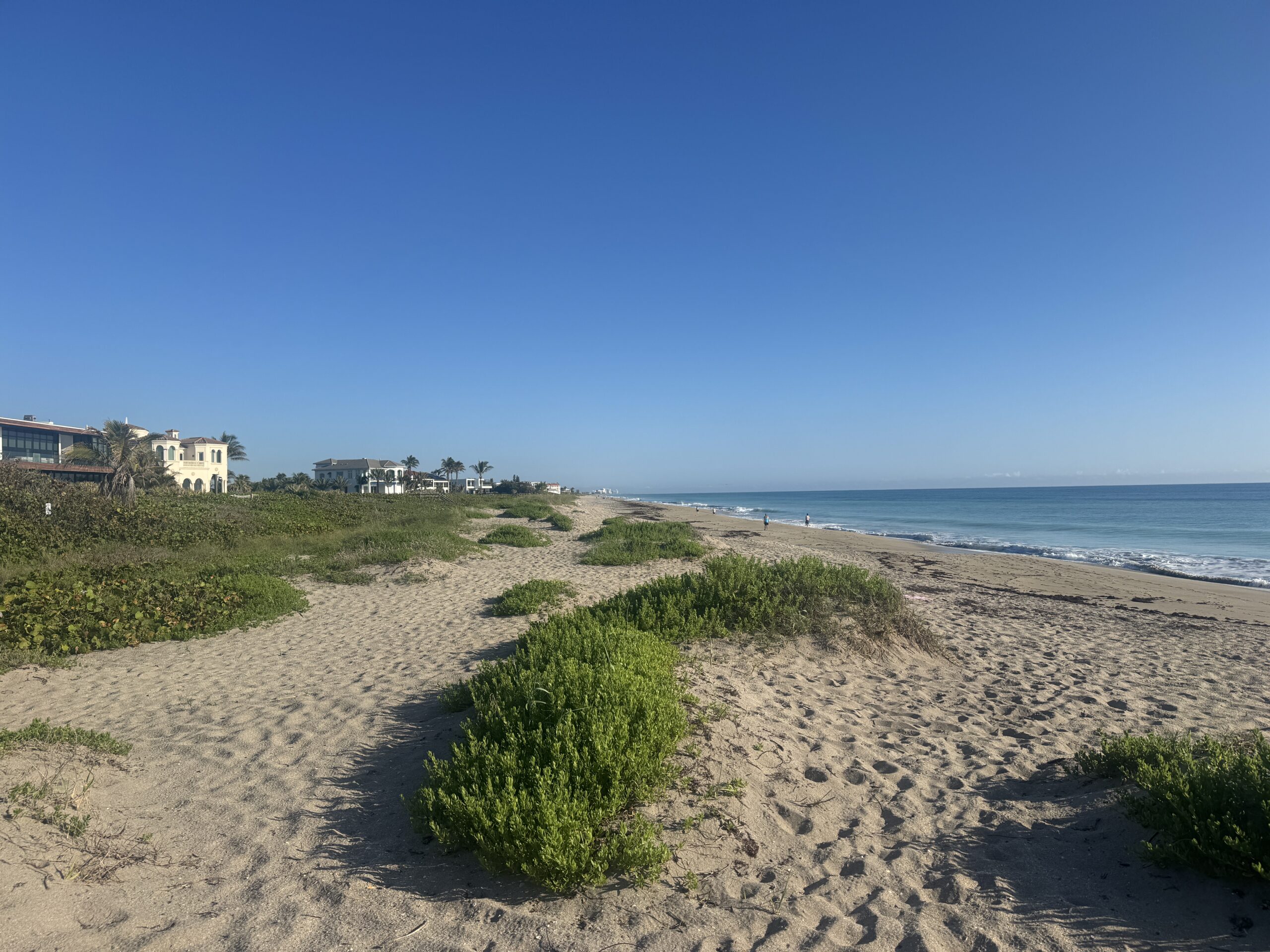 Best Things To Do In Florida (That Aren't Theme Parks)