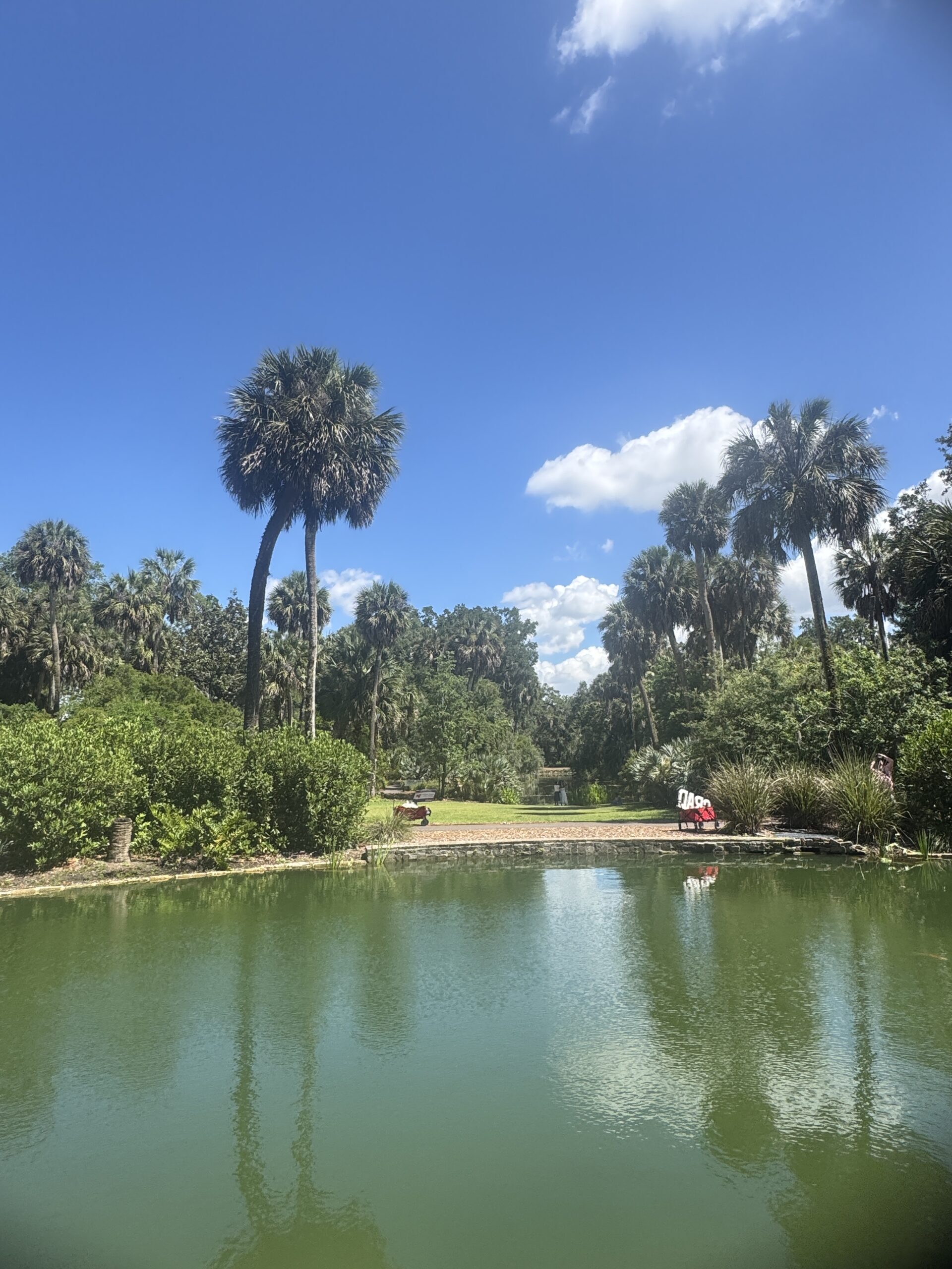 Best Things To Do In Florida (That Aren't Theme Parks)