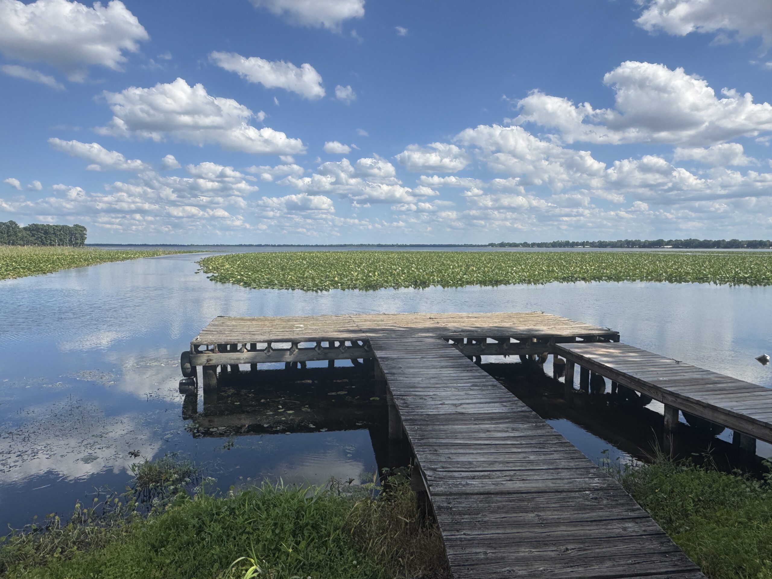 The Ultimate 7-Day Florida Road Trip: Orlando to Miami (Without the Theme Parks)
