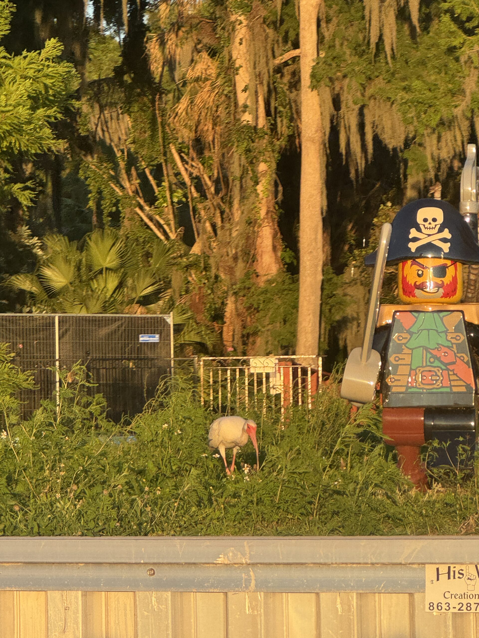 The Ultimate 7-Day Florida Road Trip: Orlando to Miami (Without the Theme Parks)