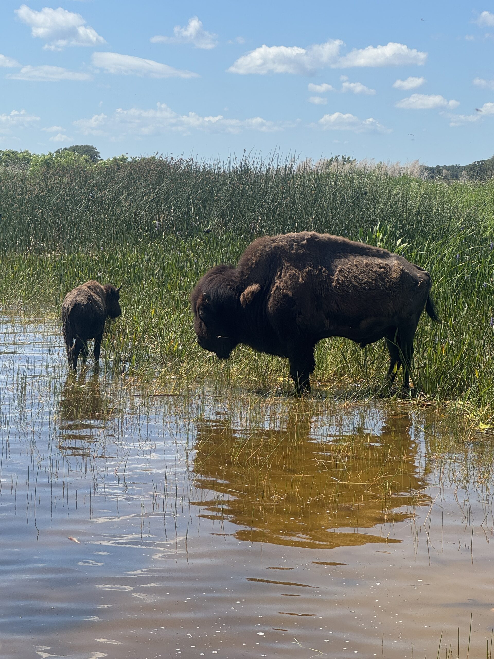 Best Things To Do In Florida (That Aren't Theme Parks)