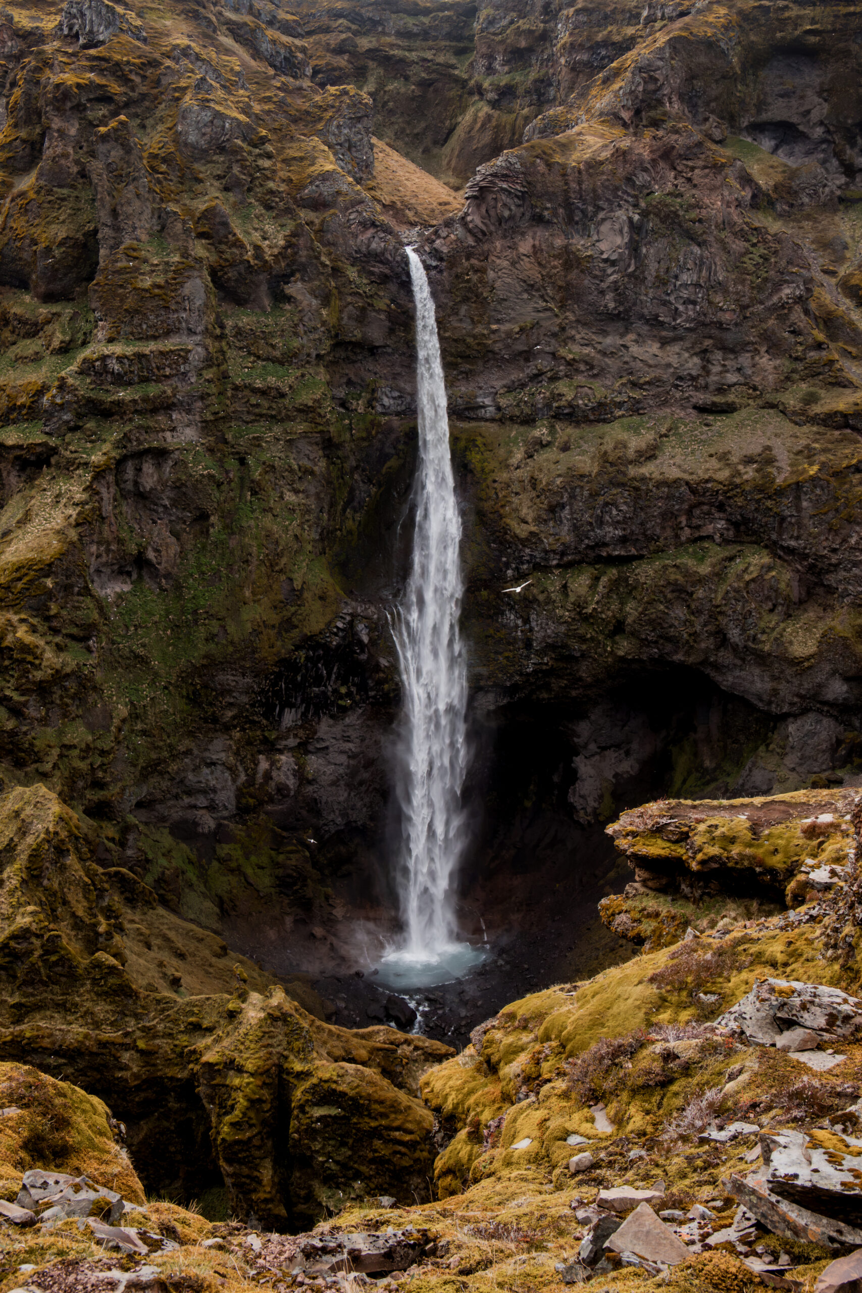Iceland Summer Road Trip: The Ultimate 7-Day South Coast Itinerary