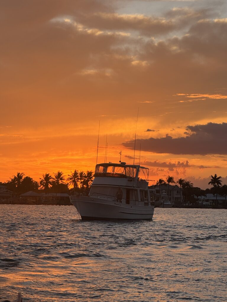 The Best Things To Do In Florida