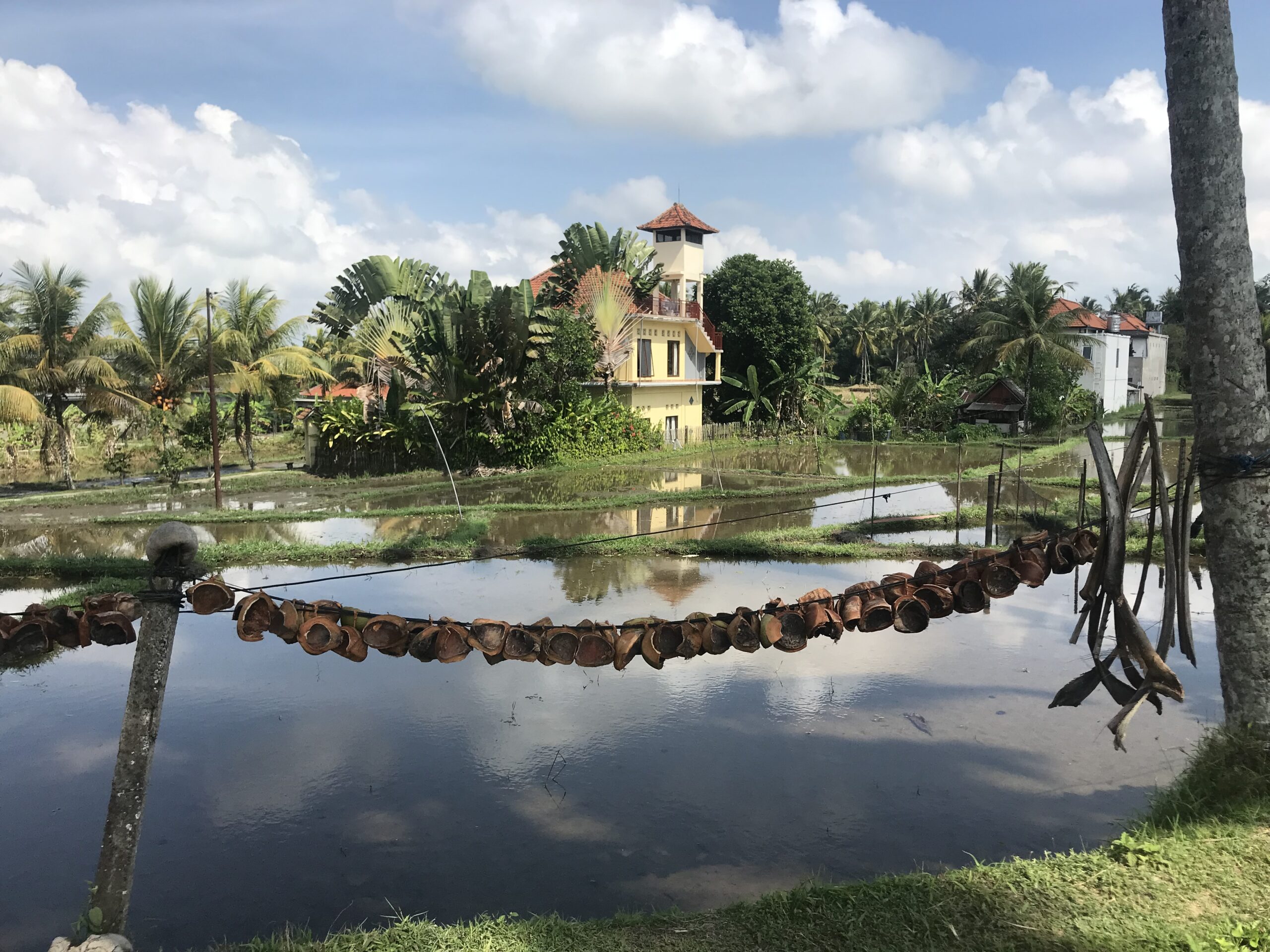 The Perfect One-Month Indonesia Itinerary