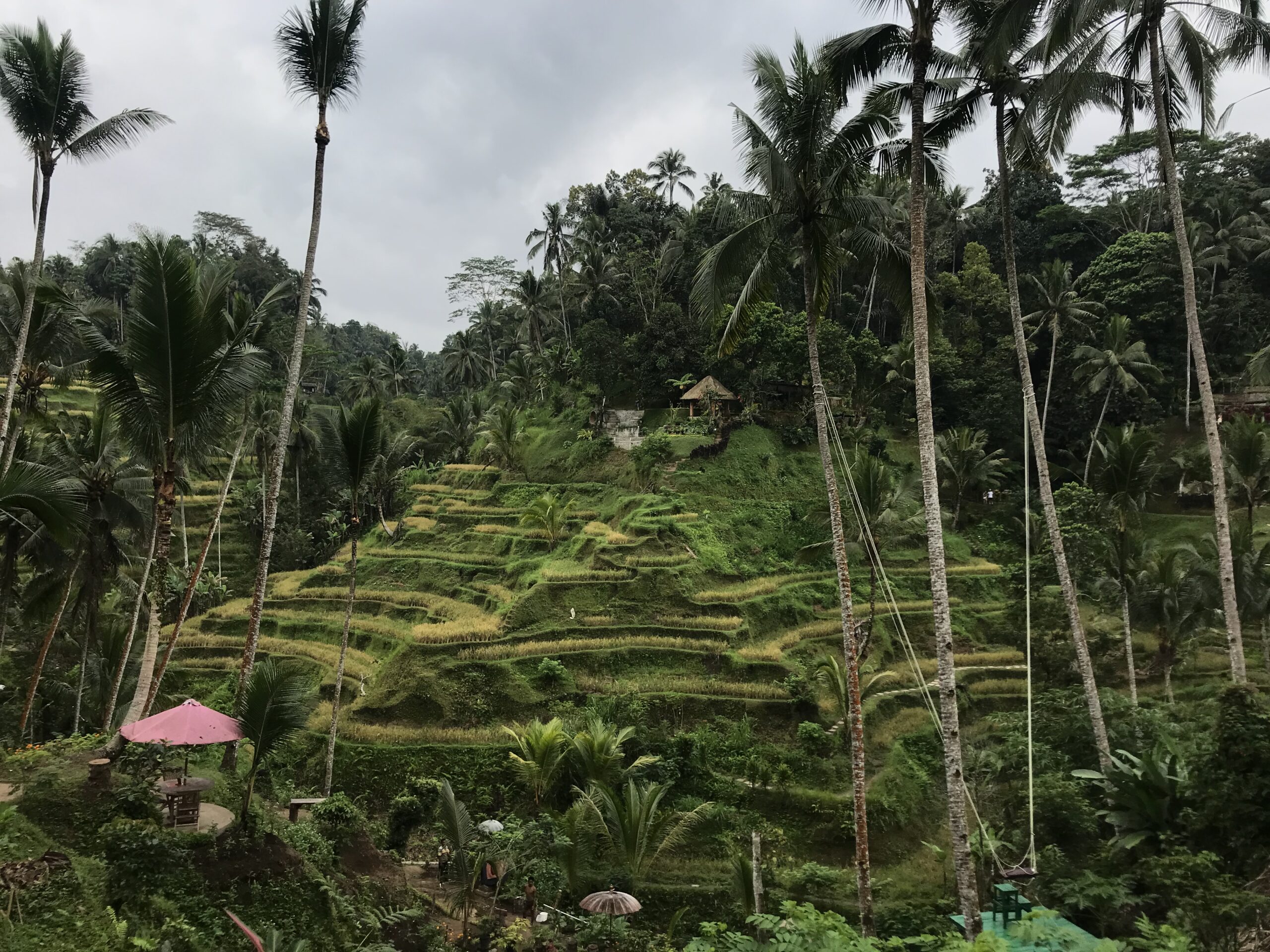 The Perfect One-Month Indonesia Itinerary